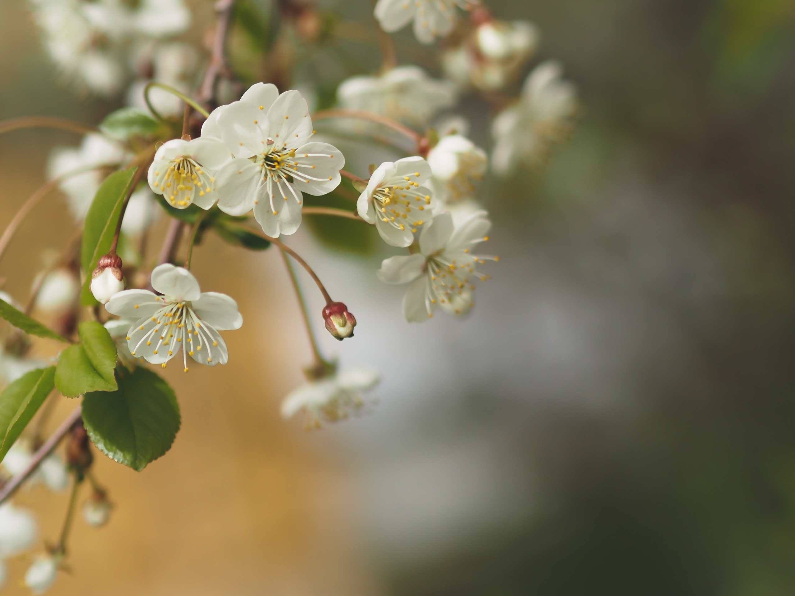Природа