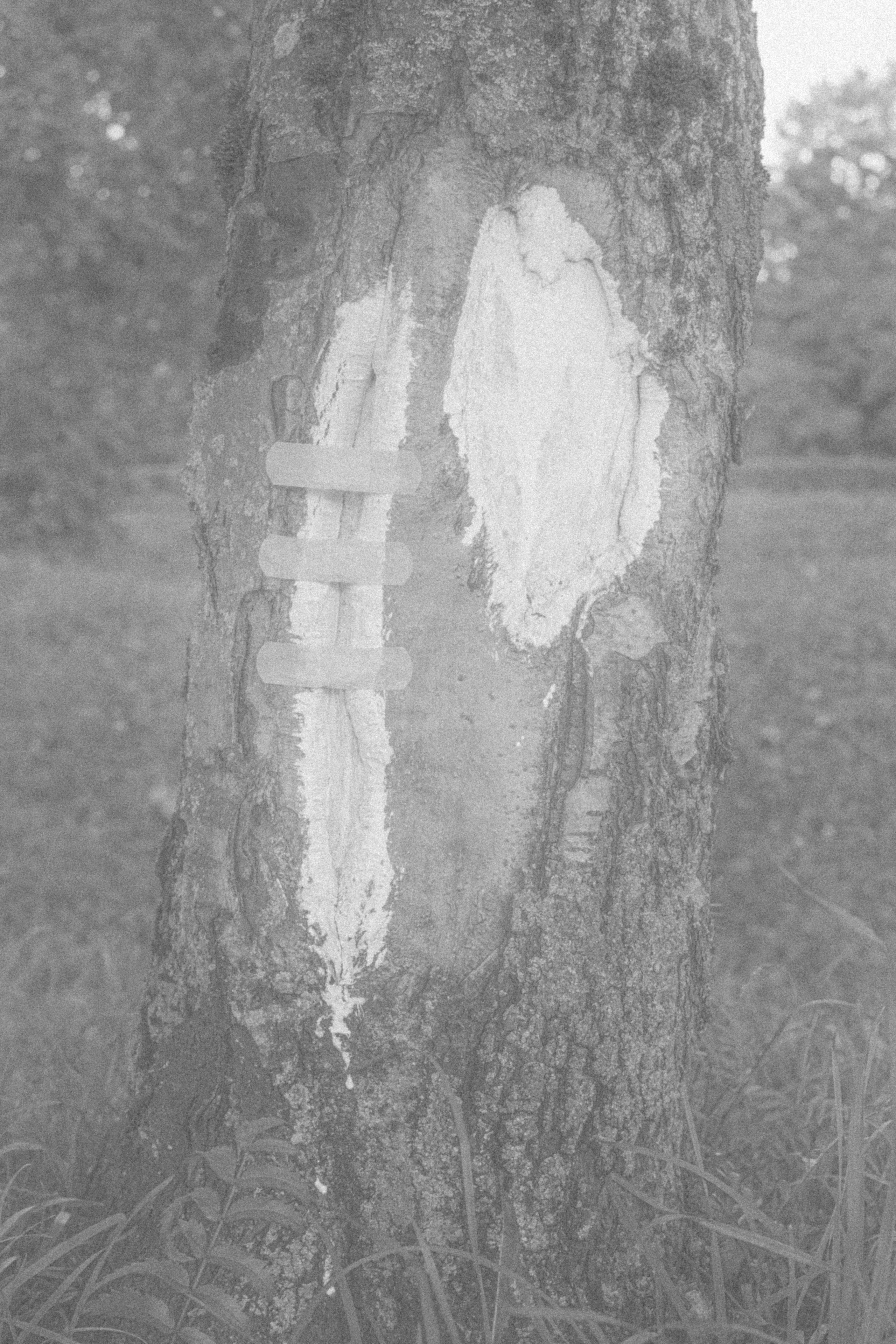 Ты, пожалуйста, не болей!. Katya Medvedeva