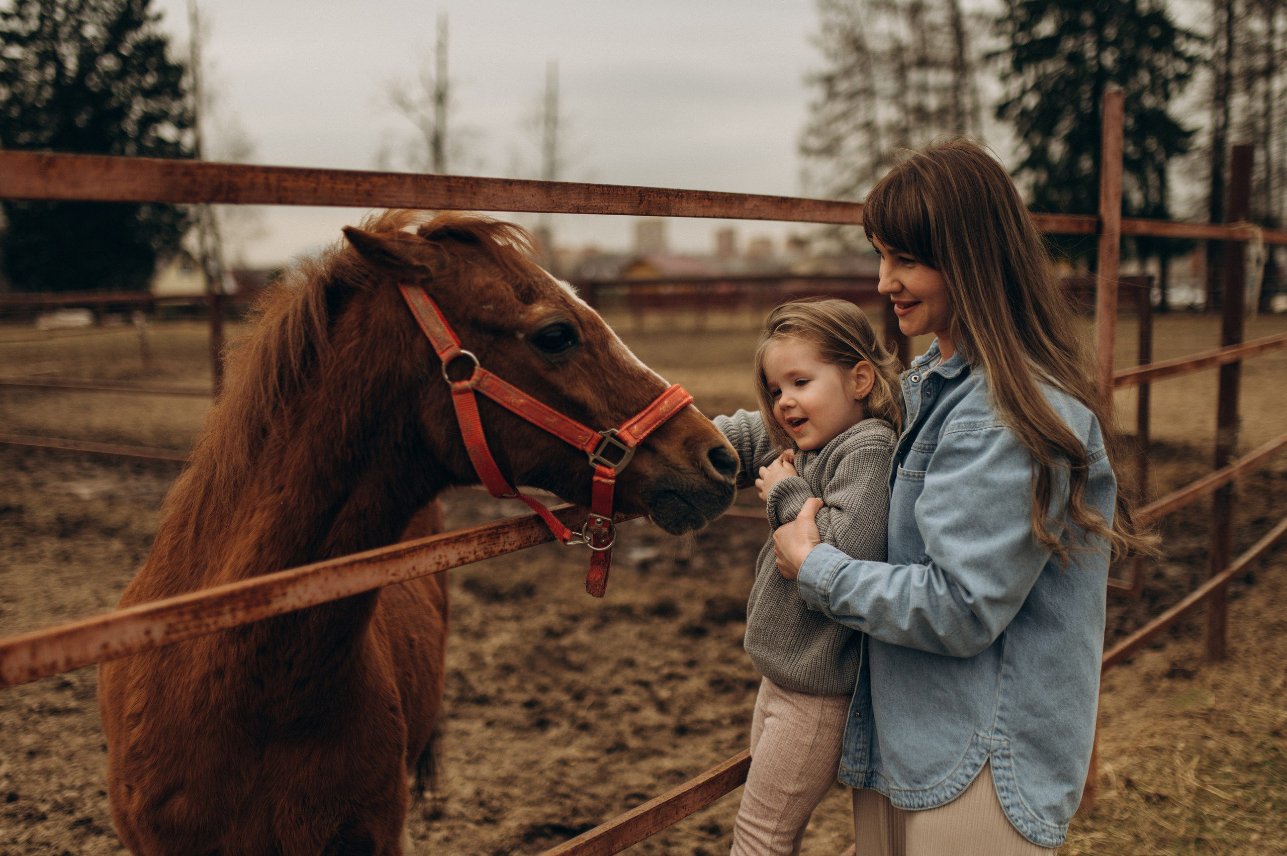 На конюшне. Семейный фотограф Нагорнова Виктория