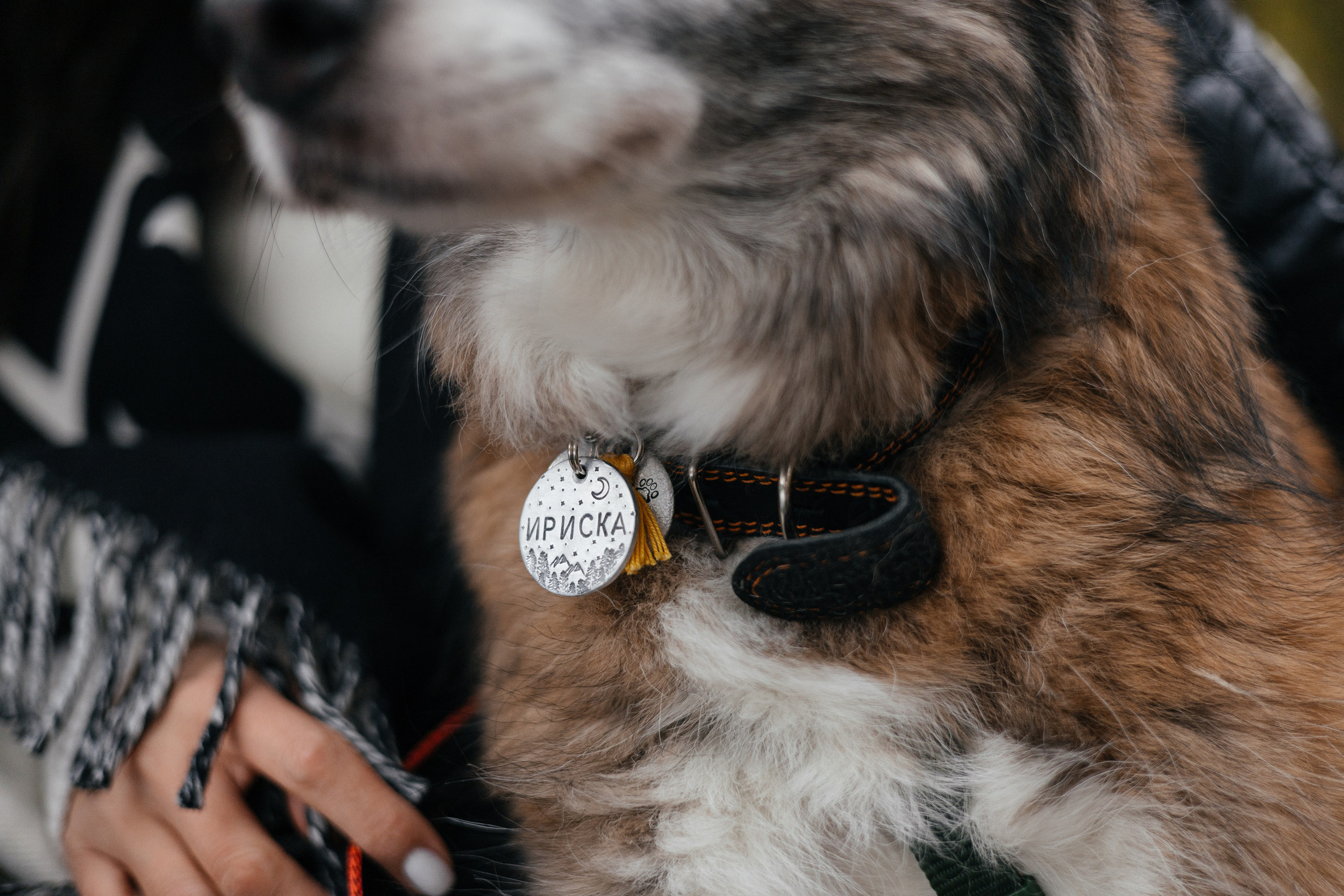 Аня и Ириска. Фотограф Анна Луценко Москва