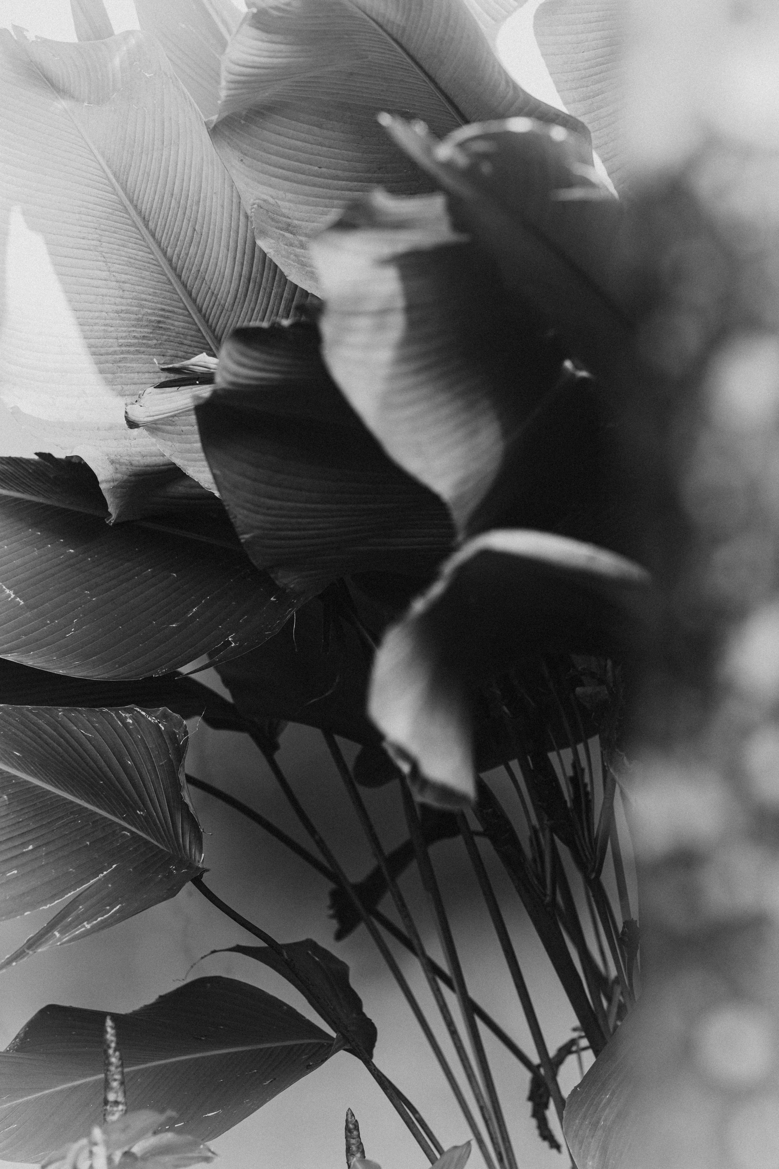 Portfolio. @beingabird.photography