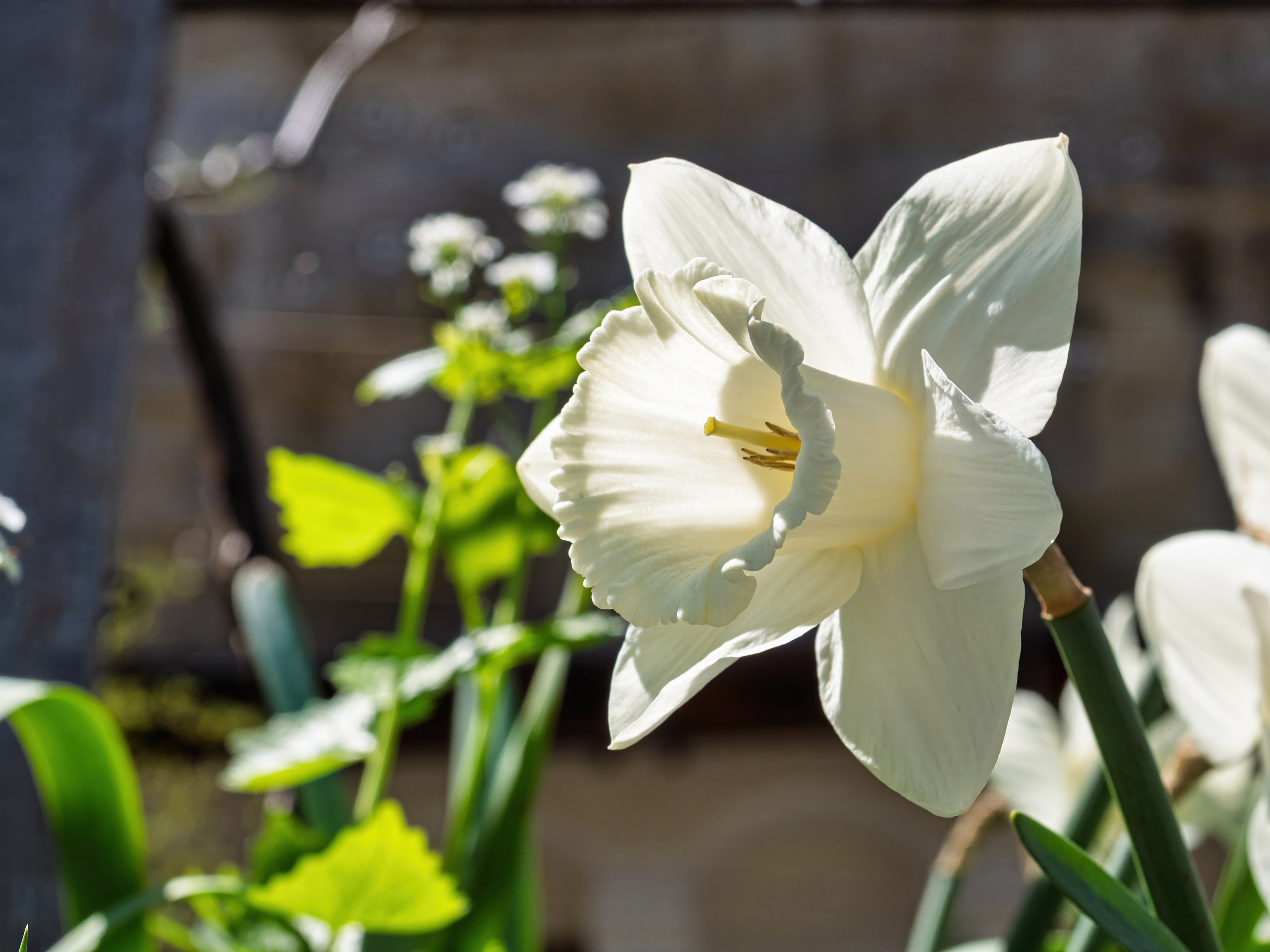 Крым, Утес, 2021 год. Фотограф Никифоров-Гордеев Сергей. Москва и МО