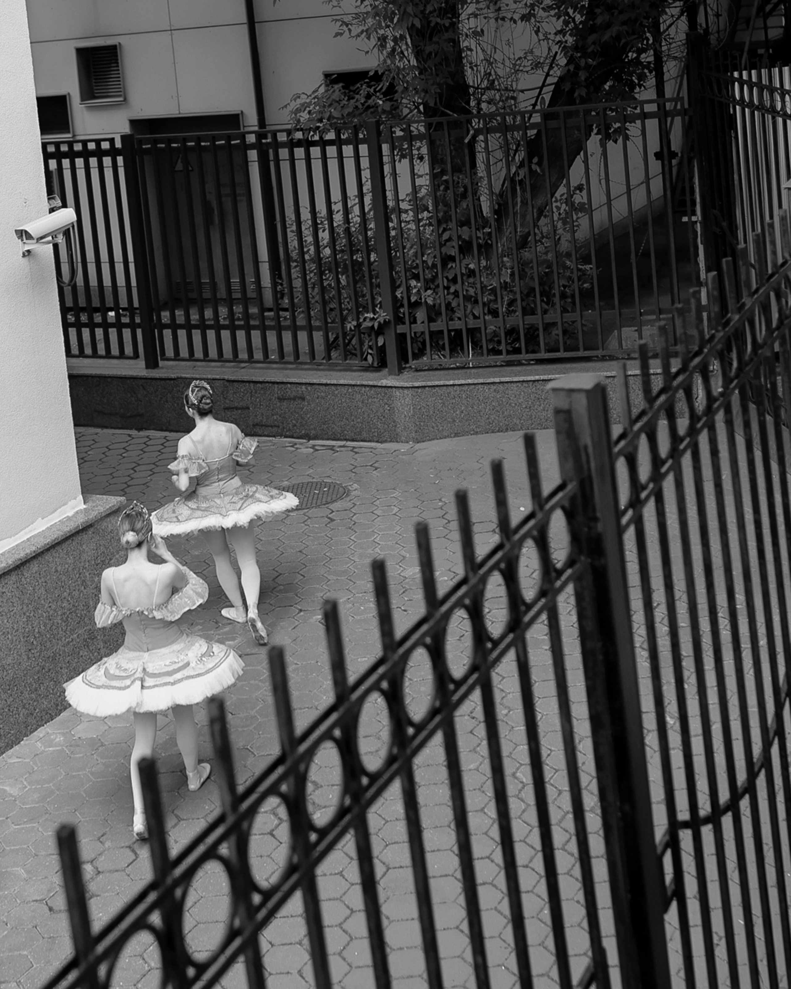 Среда своих