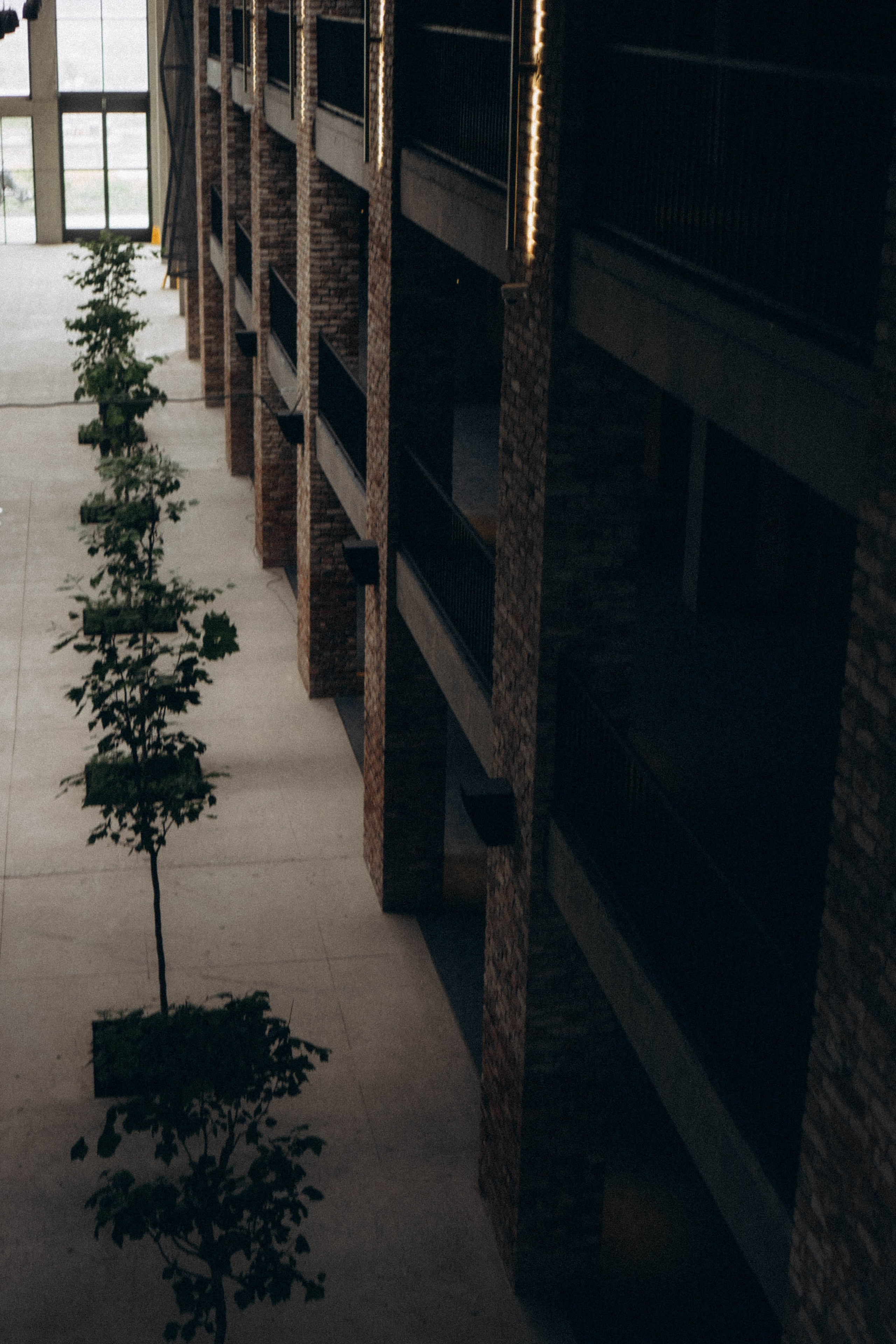 Кавказ. Профессиональный фотограф, Санкт-Петербург — Виктория Богомолова