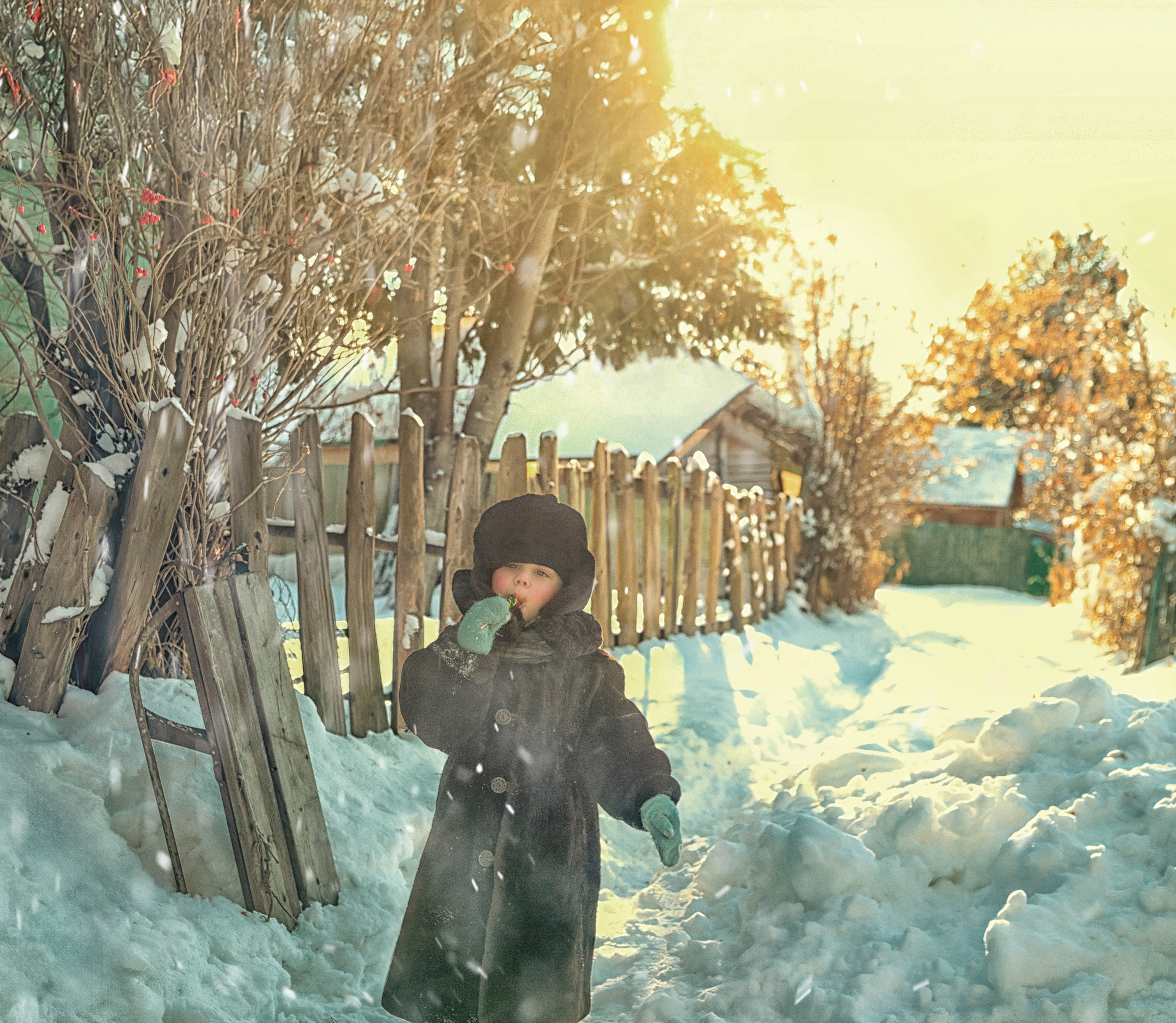 Зимние забавы. Семейный, свадебный и детский фотограф в Новосибирске Ольга Хидченко