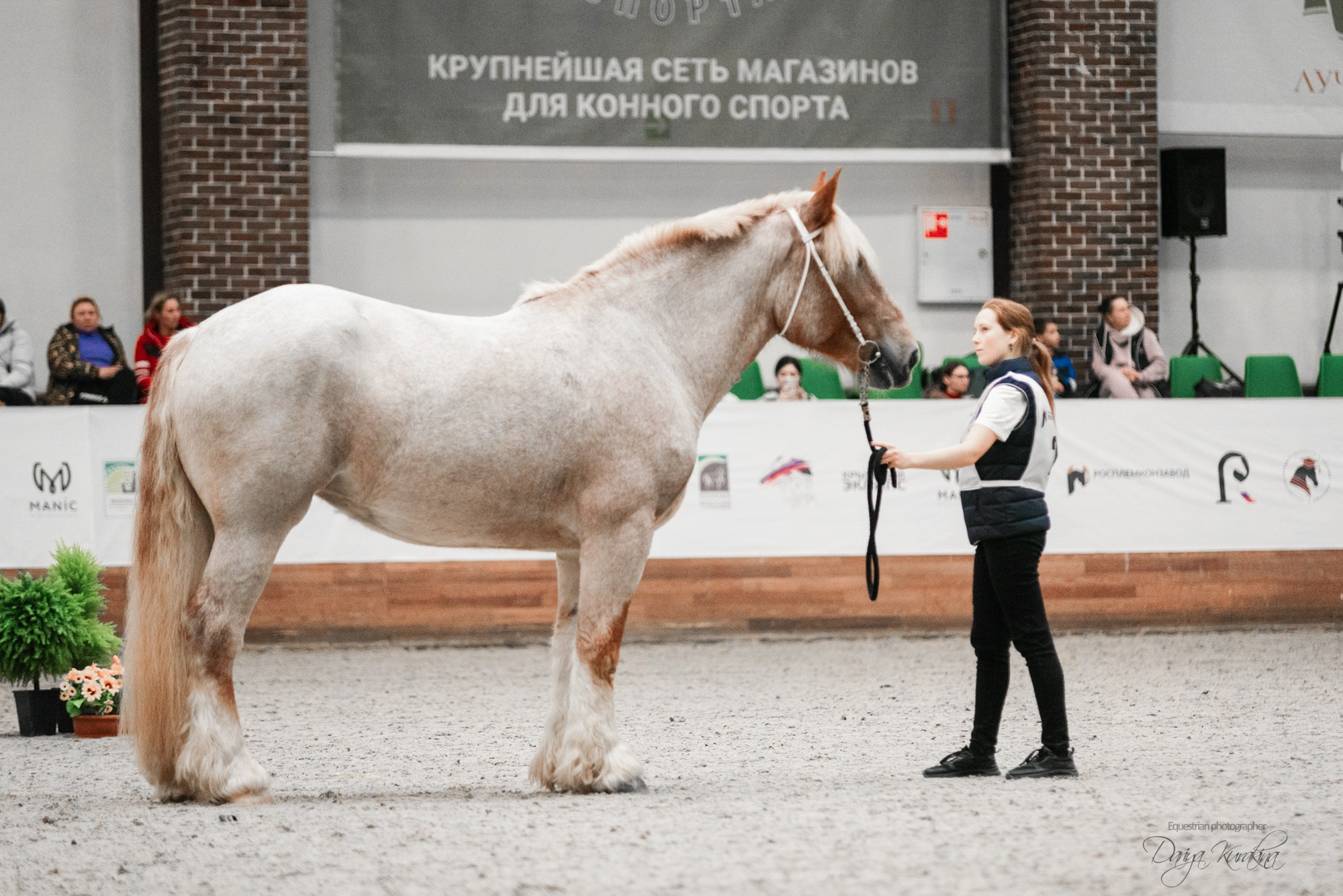 8-я международная выставка Конная Россия. Конный фотограф Куракина Дарья • Фотосессии с лошадьми
