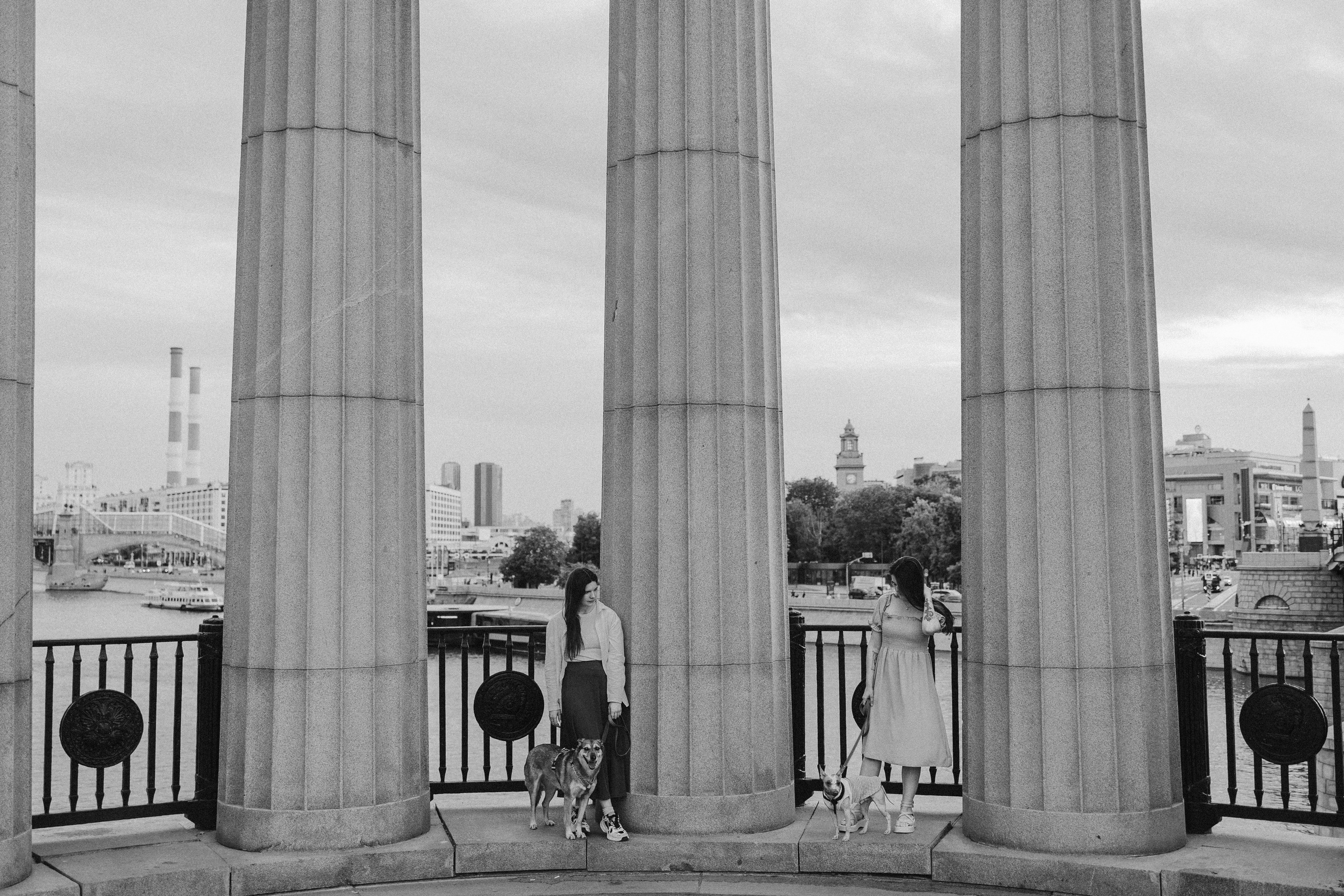 Глаша, Айрон, Ксюша и Оля. Фотограф анималист Анастасия Пикей