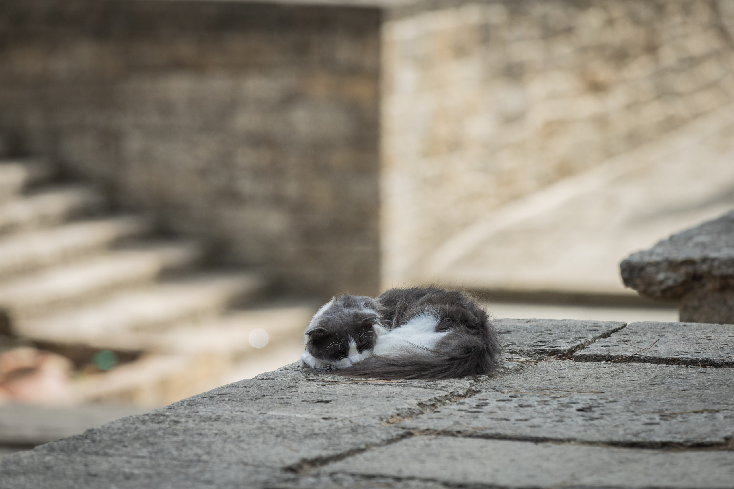 Дербент. Фотограф Владимир Охрименко