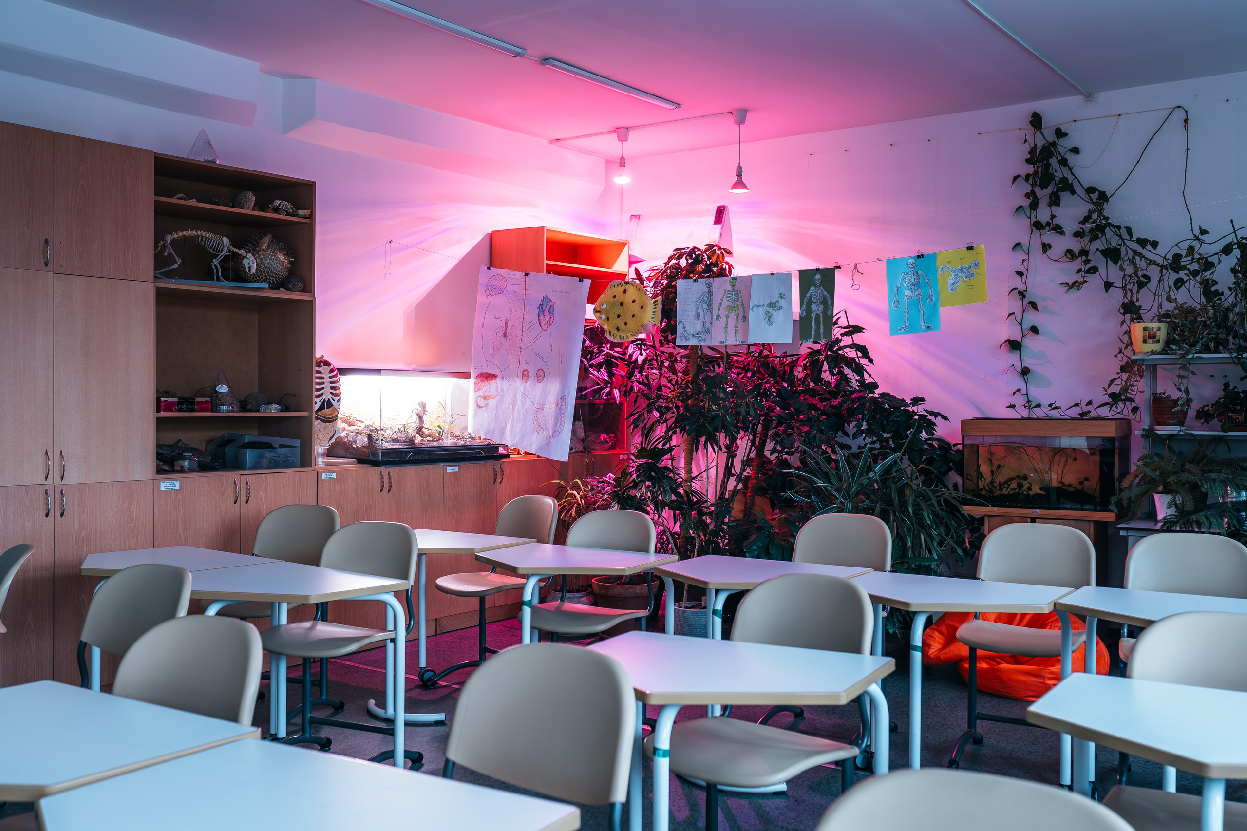 Европейская гимназия. @tomrus: Рустам Шагиморданов — фотограф