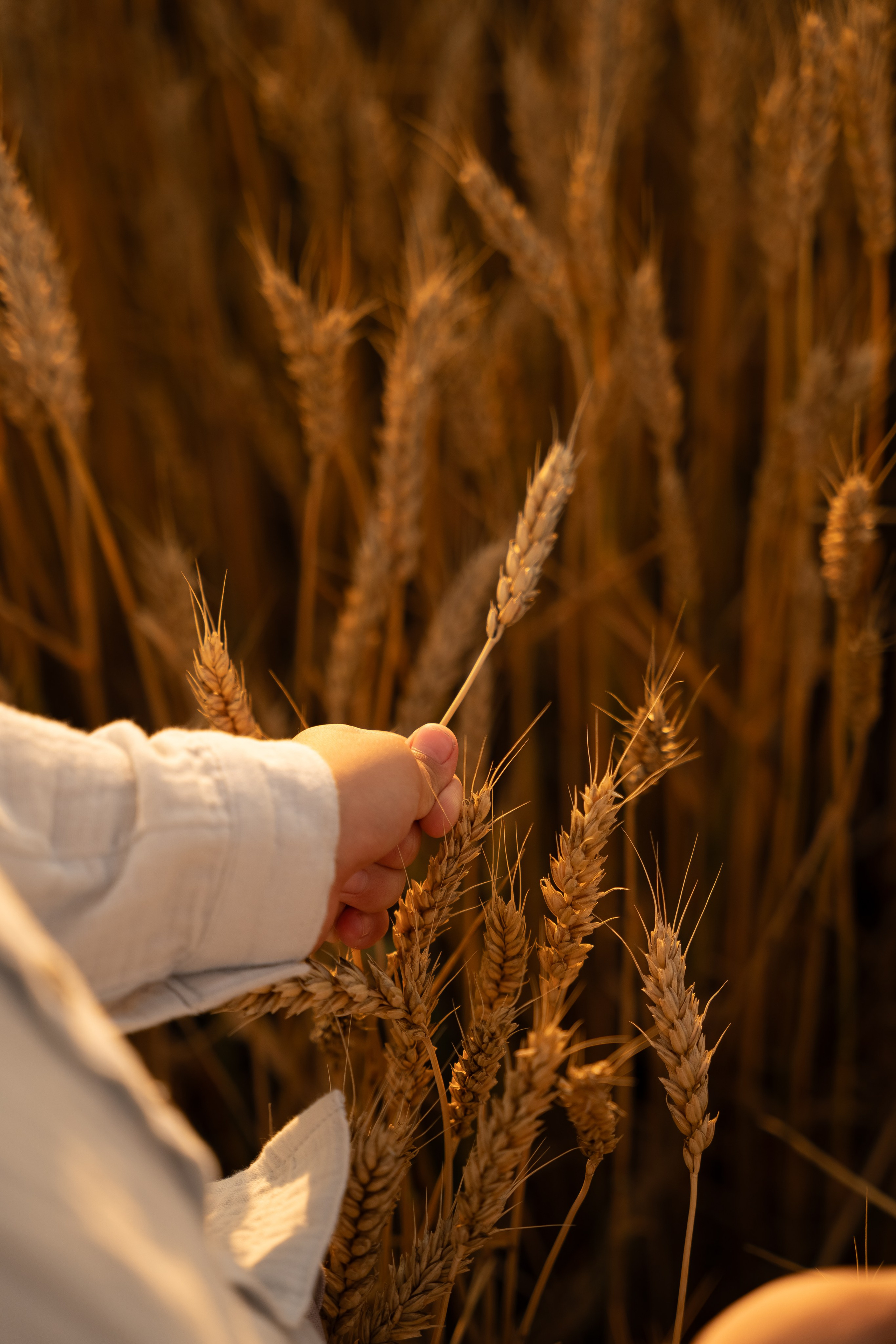 Брат и сестрёнка. Фотограф в Ульяновске Александра Григоровских