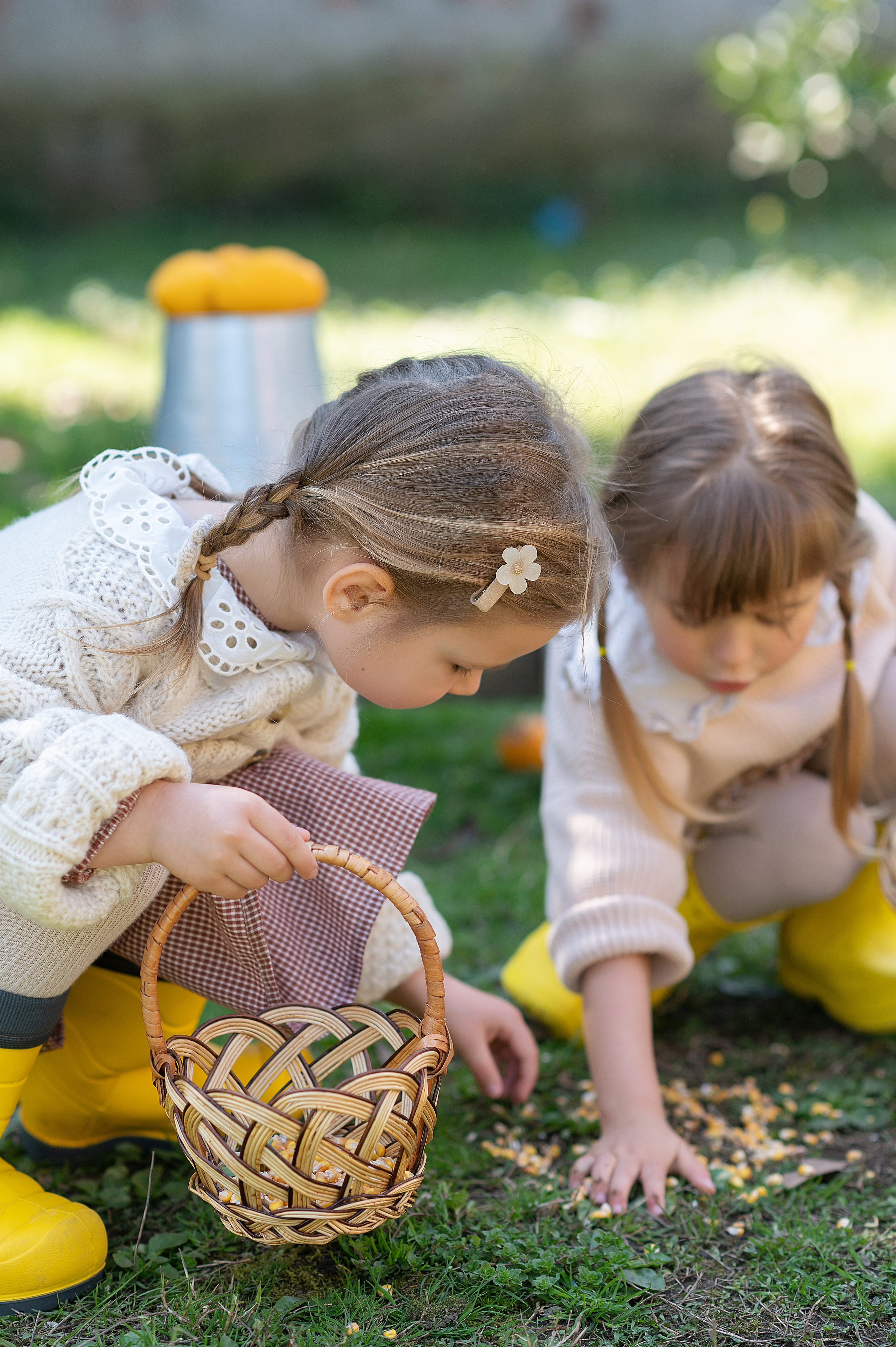 Курочки. Детский фотограф Абхазия