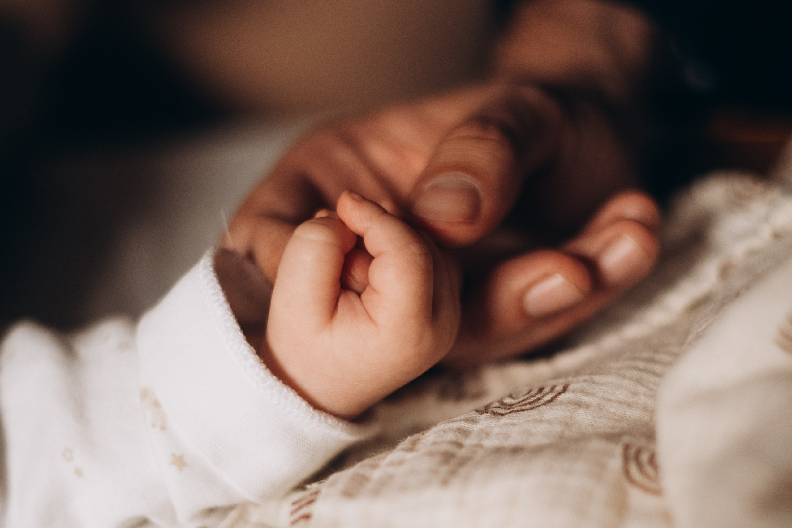 Крещение в Свято-Лукиановой пустыни, г. Александров