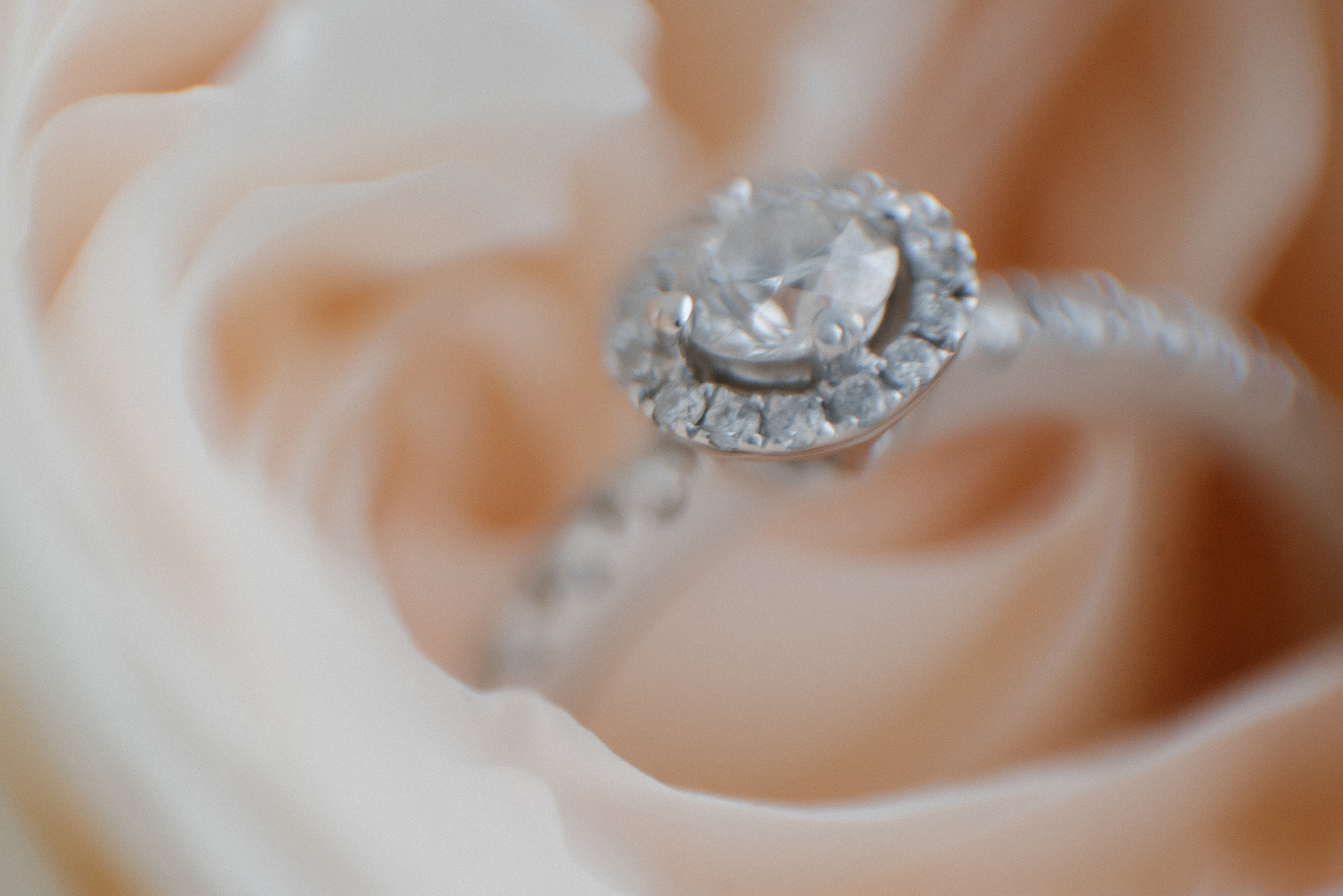 Анонс со свадьбы Амира и Алины. Фотограф Даурен Абилхаятов