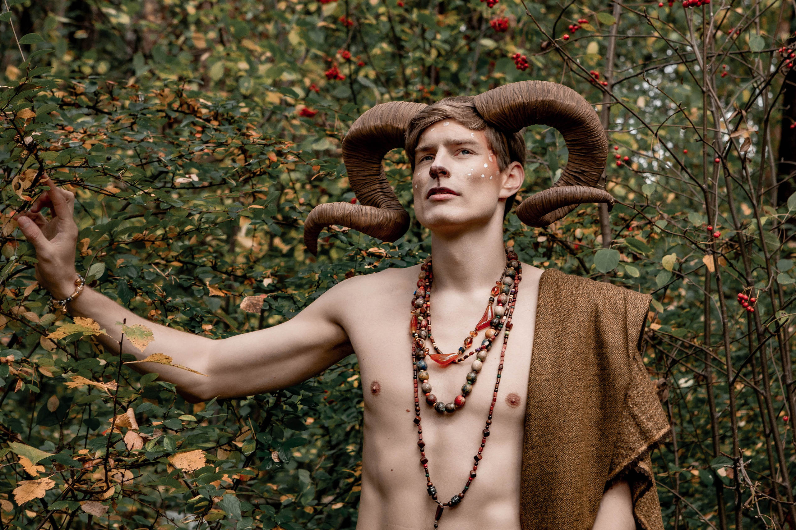 Волшебный лес. Фотограф Екатерина Голицына