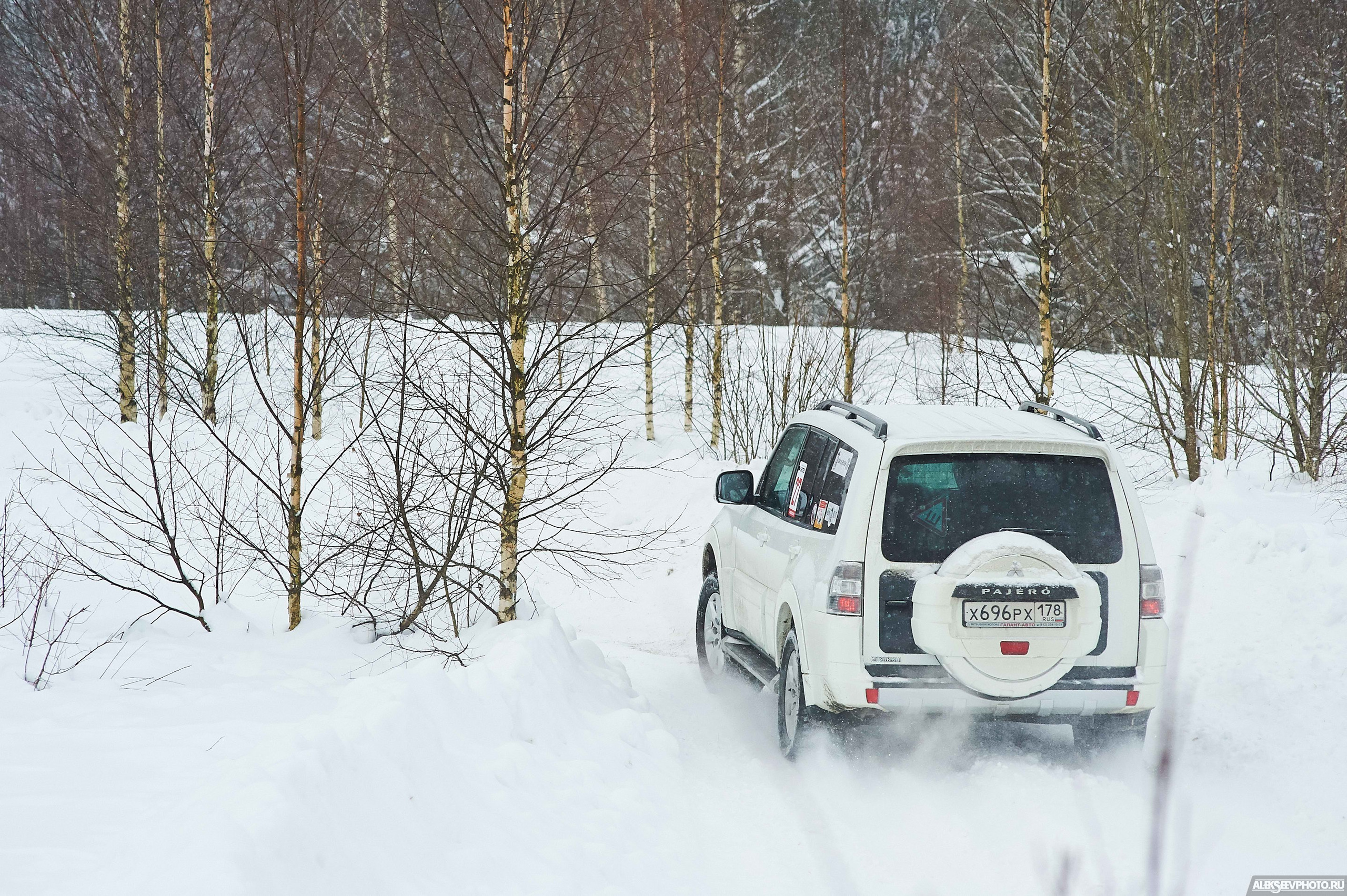 2018.02.17 — Золовкины посиделки у АвтоКОТов. Фотограф Алексей Алексеев