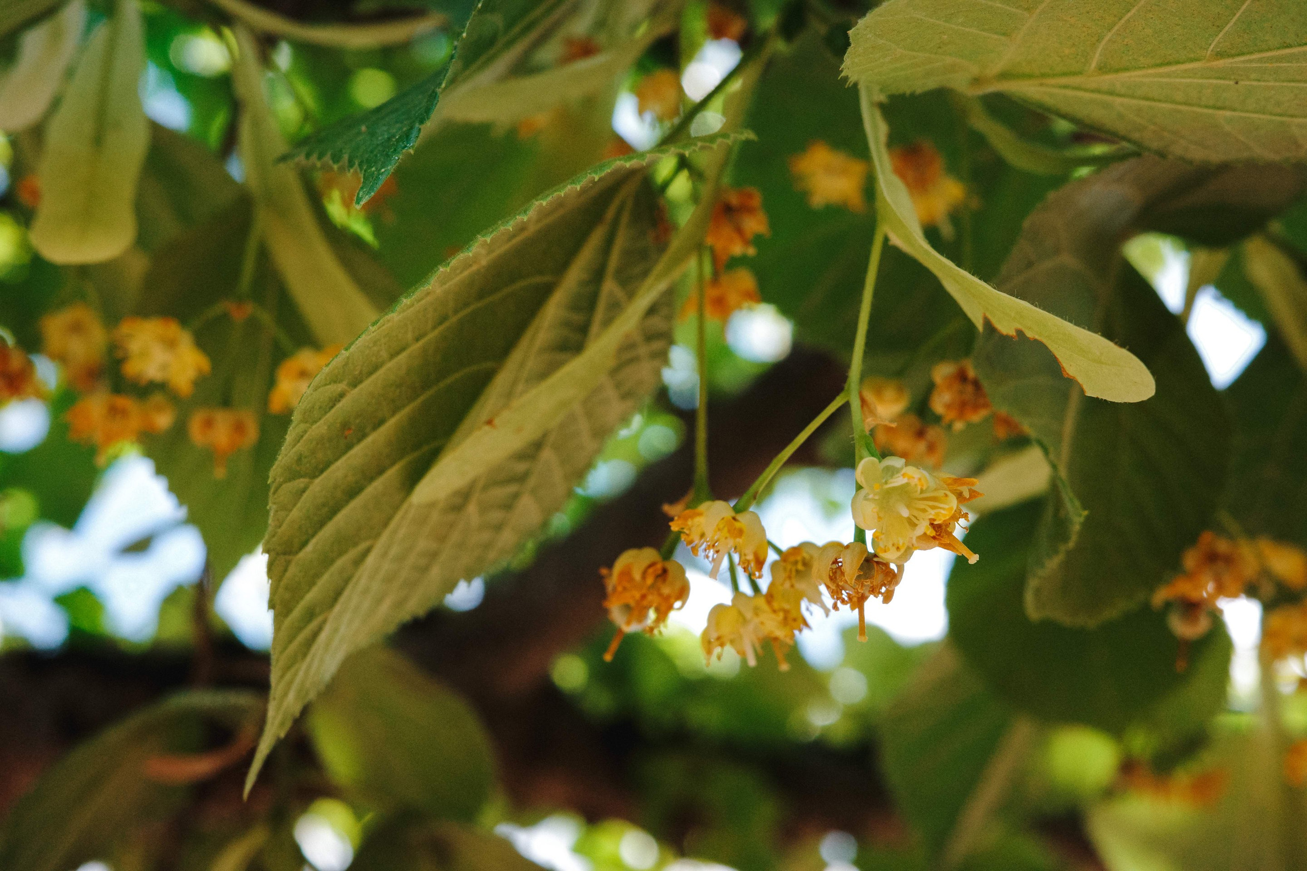 2024.06. Фотограф Алексей Алексеев