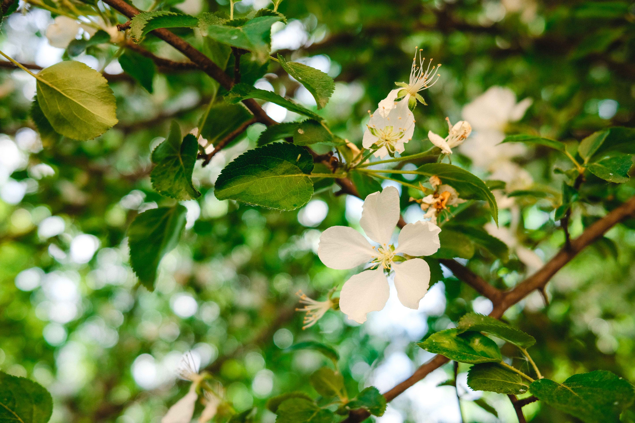2023.05. Фотограф Алексей Алексеев