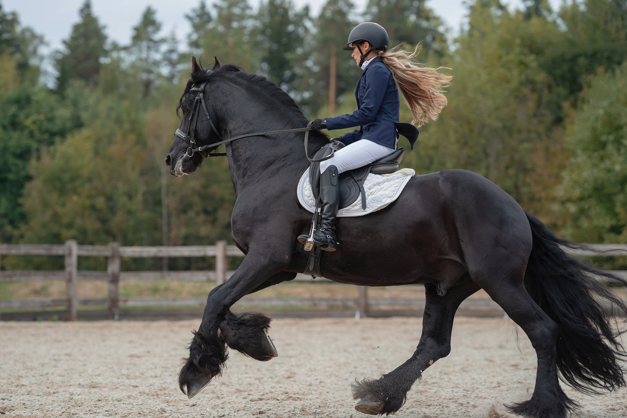 Съемки с лошадьми в стиле «Sport look». Фотограф Вероника Ранцева, фотосессии с лошадьми в Минске и Могилеве