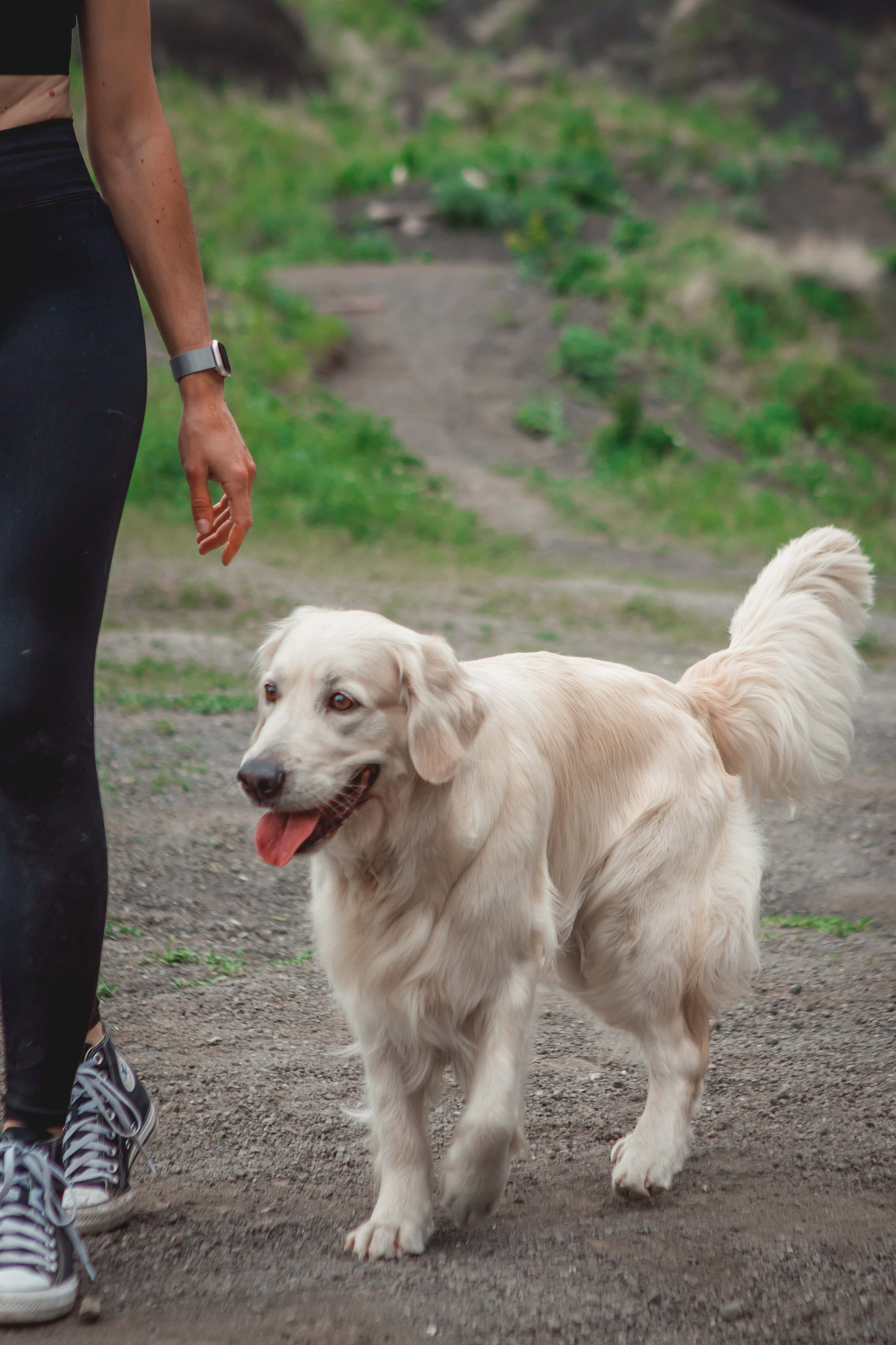 Юля, Пуля и Зара. Семейный фотограф анималист Мария Крючкова