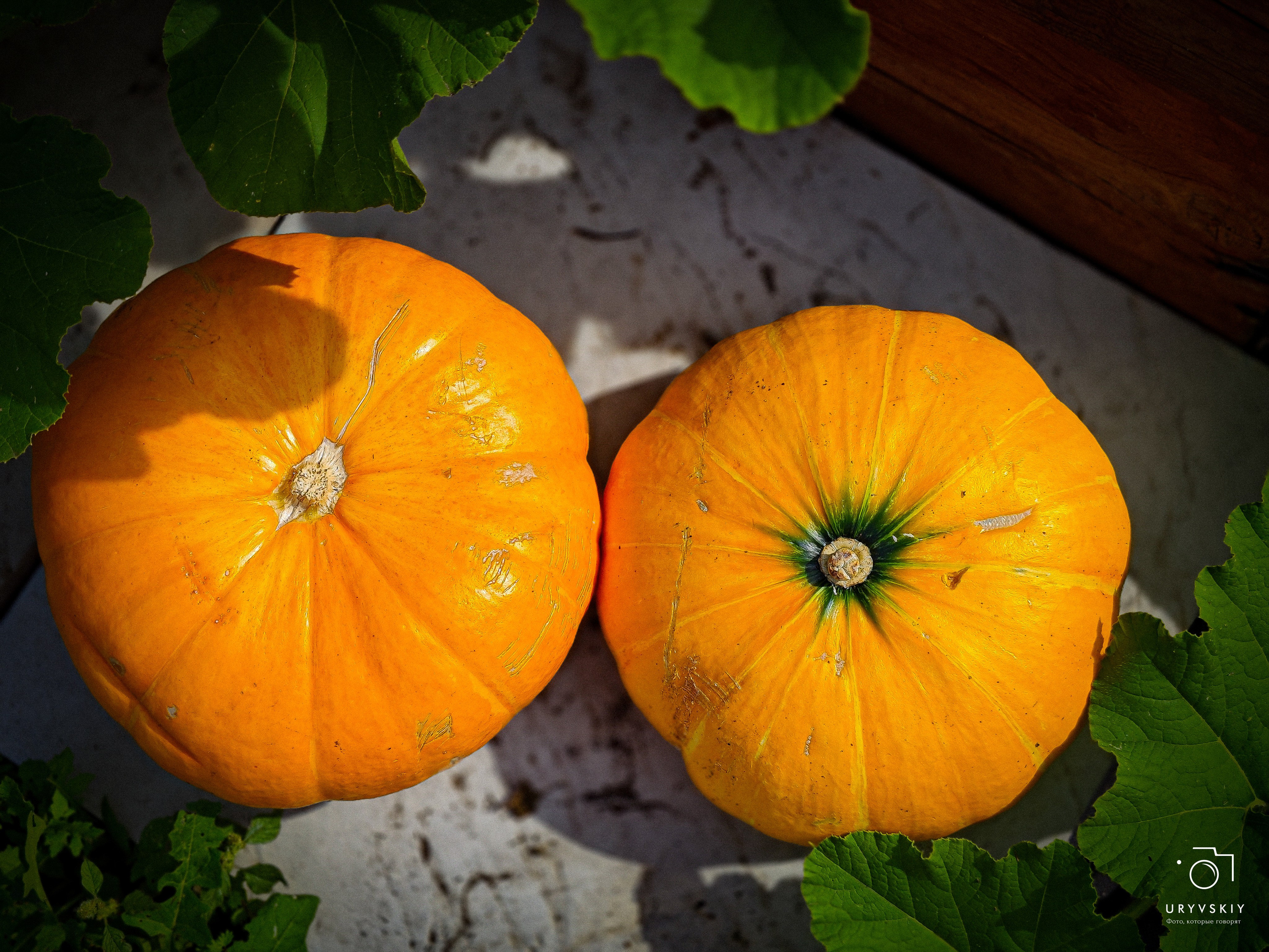 Арт пространство «Хлебзавод». Игорь Урывский. Фотограф Красноярск