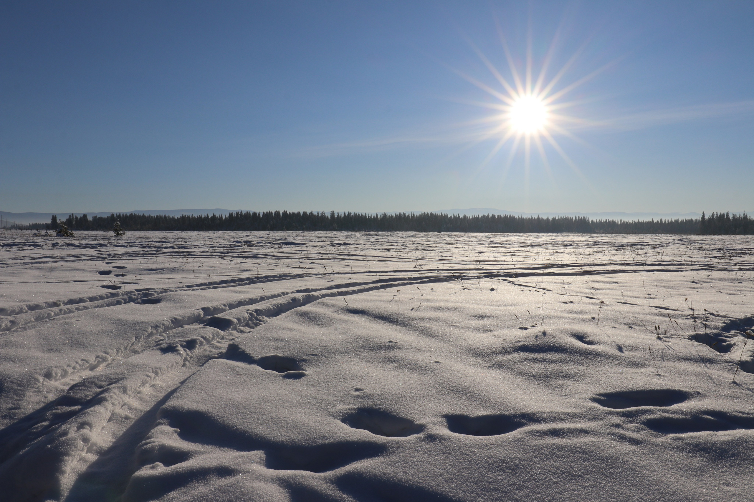 Аршан. Январь 2022. Путешественник-фотограф из Санкт-Петербурга Татьяна Свистулина