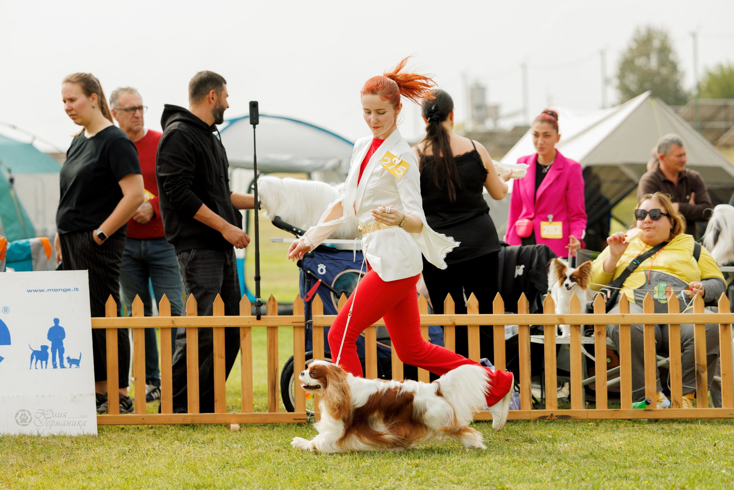 Армения,Ереван 3хCACIB 15-17.10.2024. Фотограф-анималист Юлия Германика