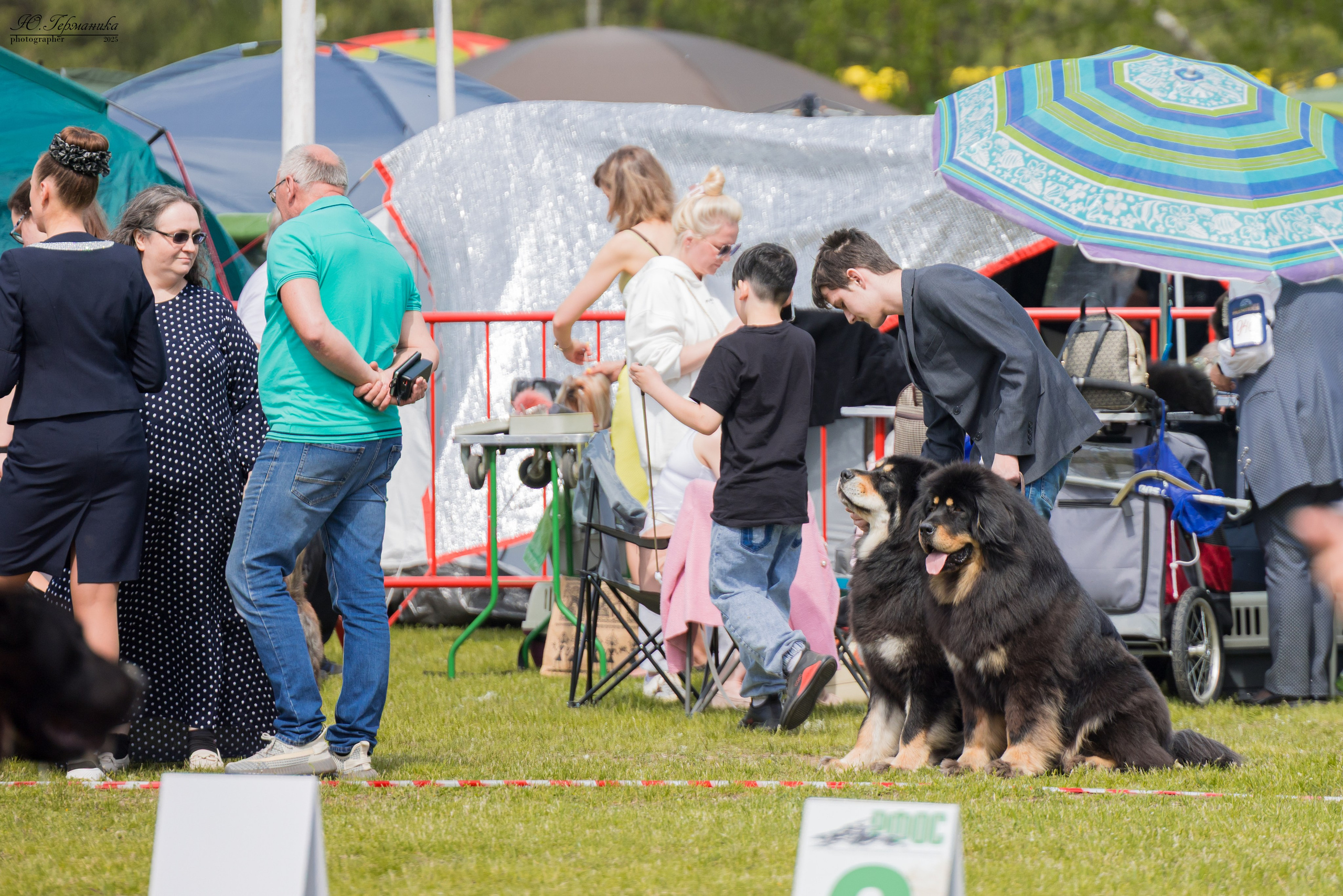 Суздаль(Владимир)17-18.05.2025. Фотограф-анималист Юлия Германика