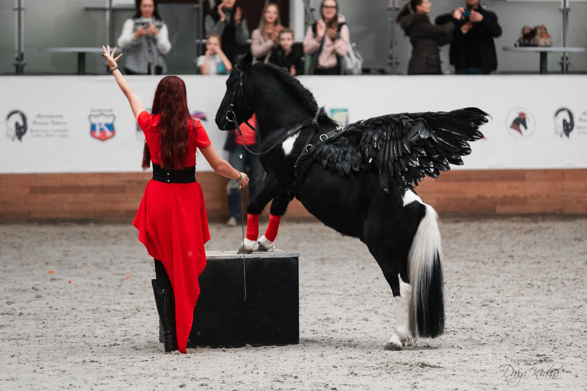 8-я международная выставка Конная Россия. Конный фотограф Куракина Дарья • Фотосессии с лошадьми