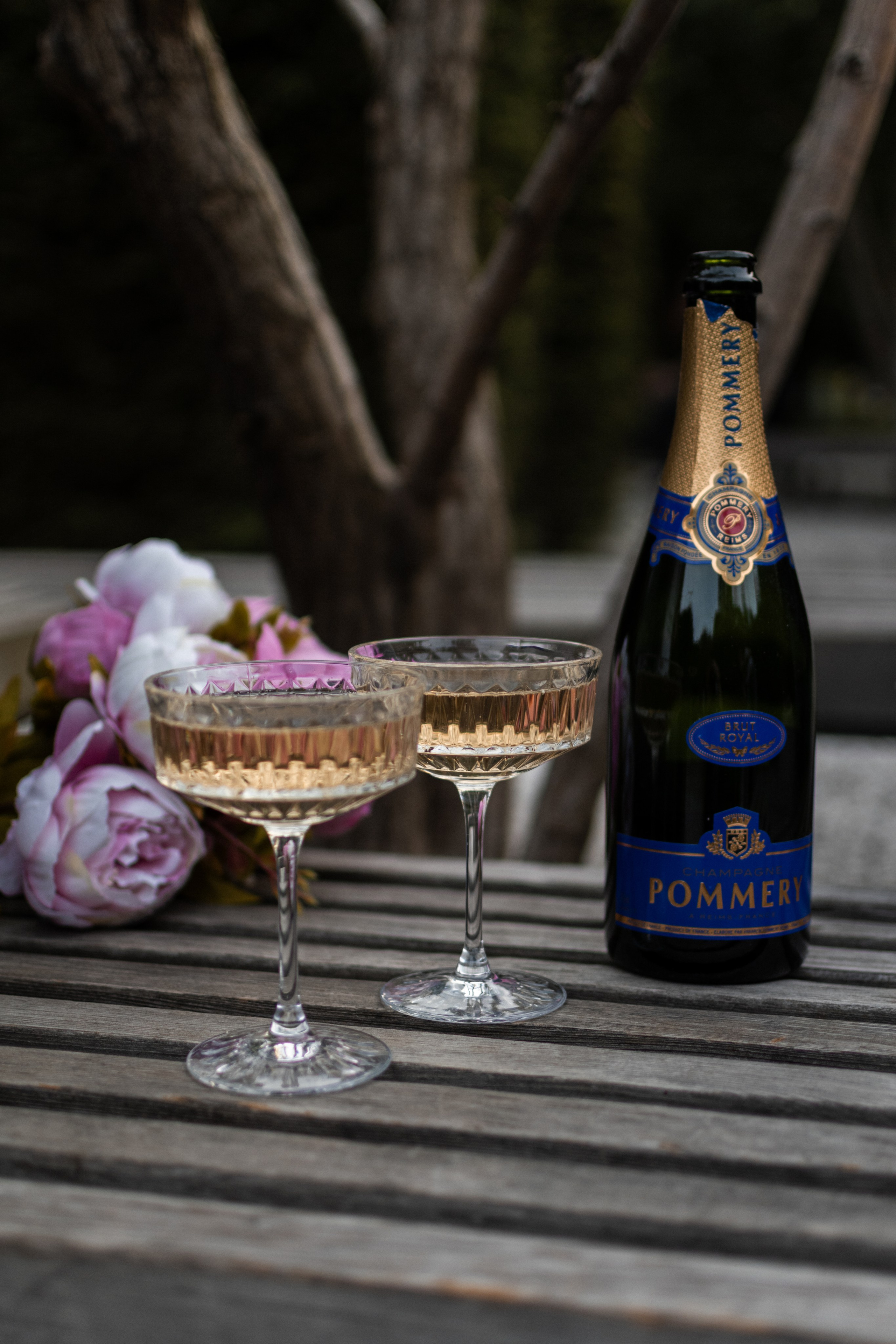 Wed. Портретный фотограф в Москве Ольга Чечерина