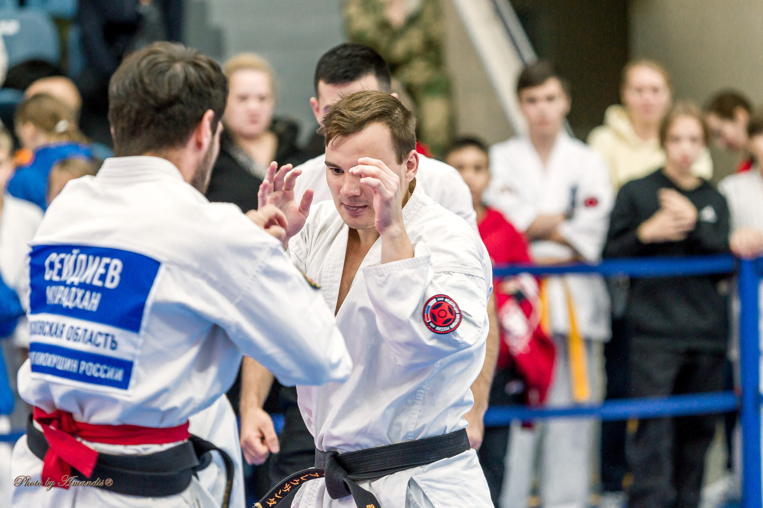 Чемпионат по Киокушинкай Центрального Федерального округа. Репортажная съемка в Москве и области. Анималистика