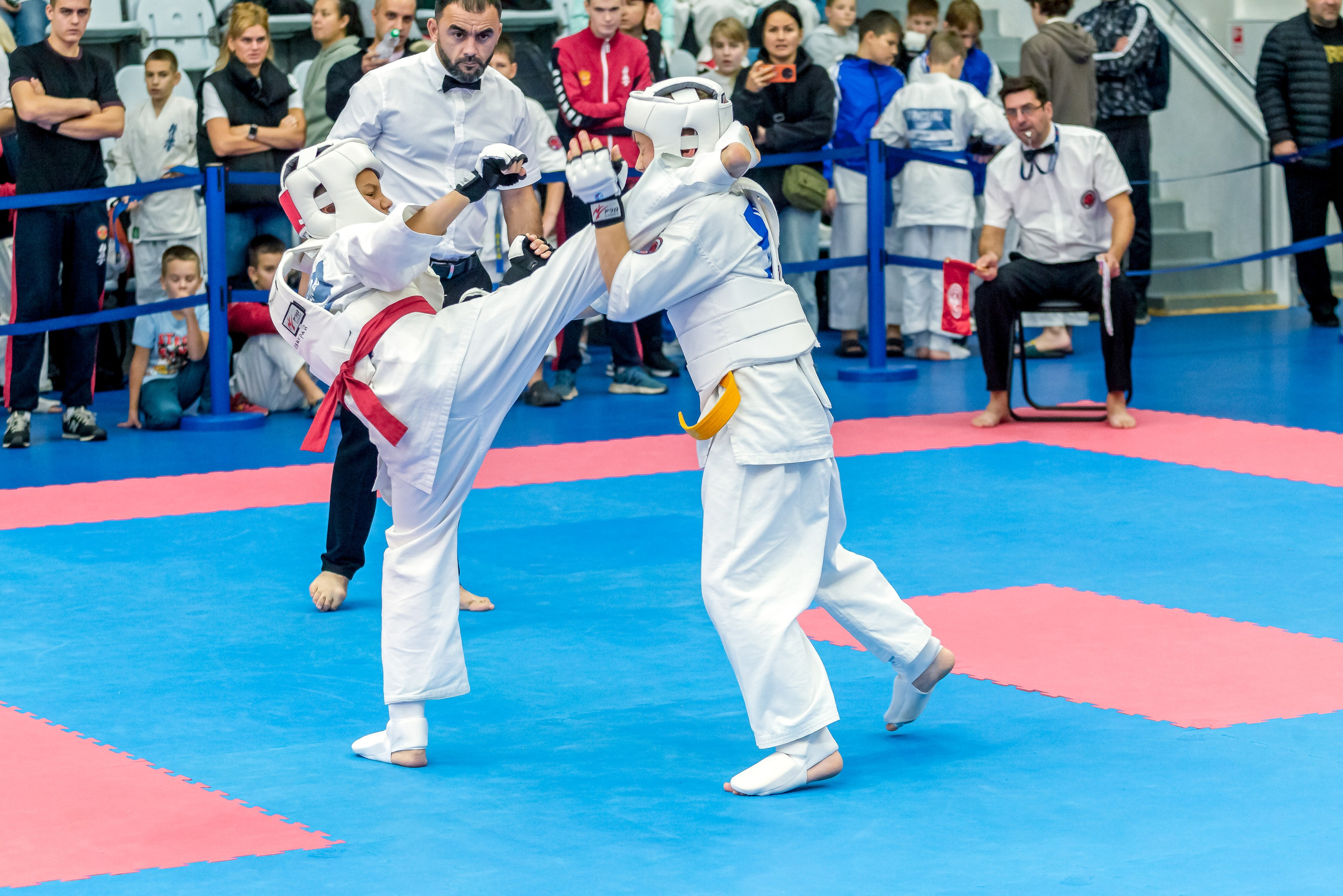 Соревнования по Киокушин памяти С. Увицкого. Репортажная съемка в Москве и области. Анималистика