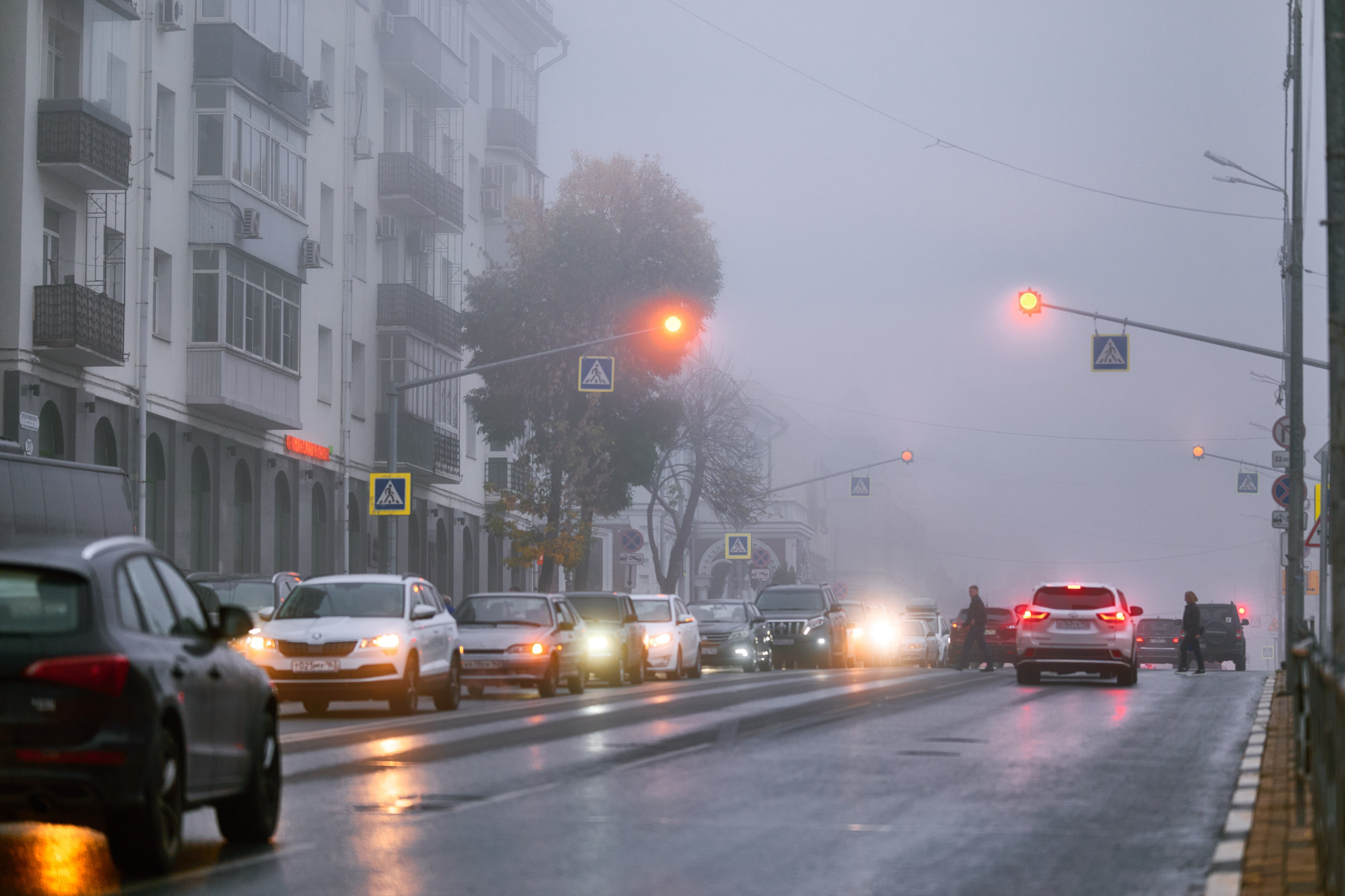 Туманное утро: густой туман окутывает дорогу, создавая атмосферу загадочности и спокойствия