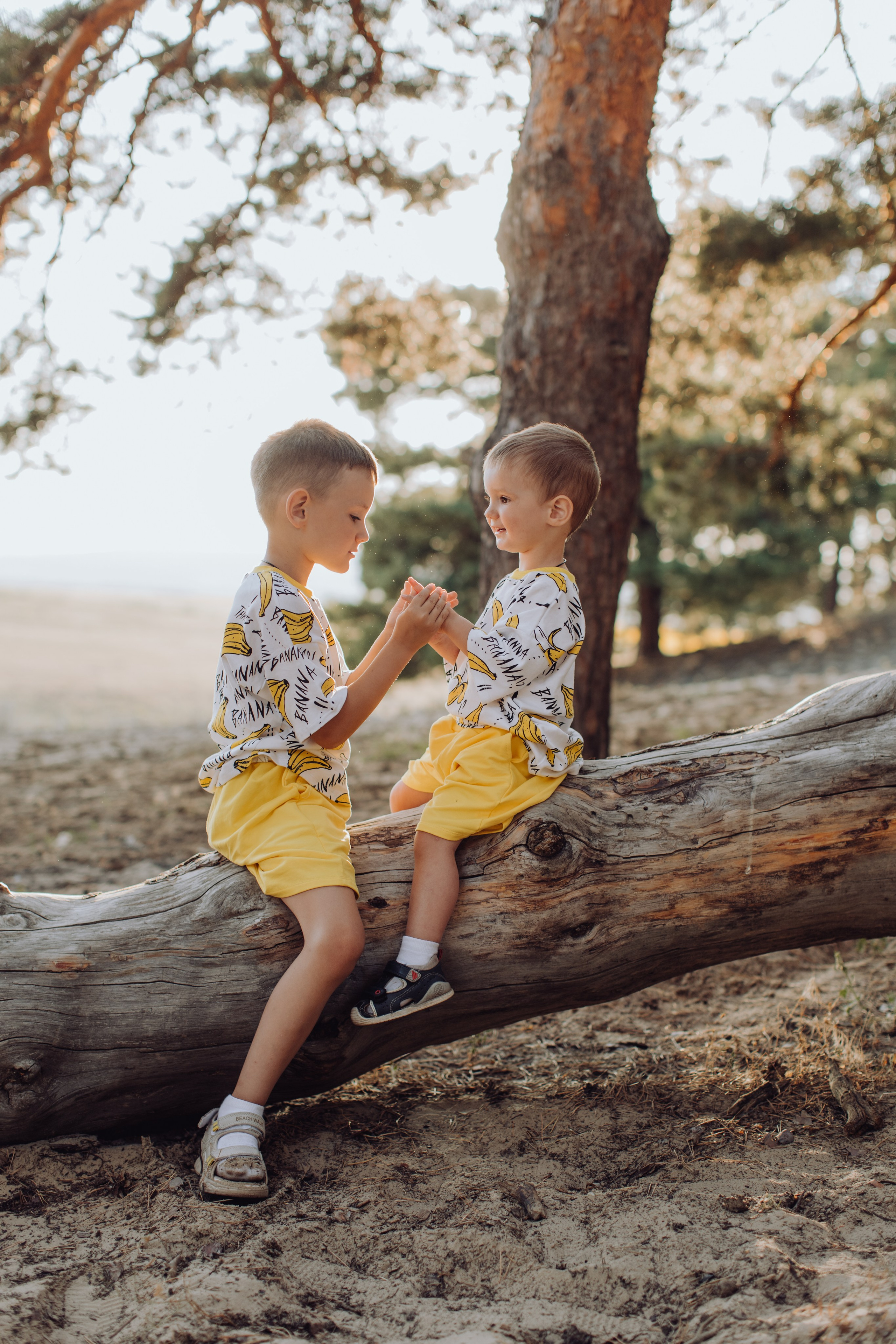 Поповка. Закат. Главная