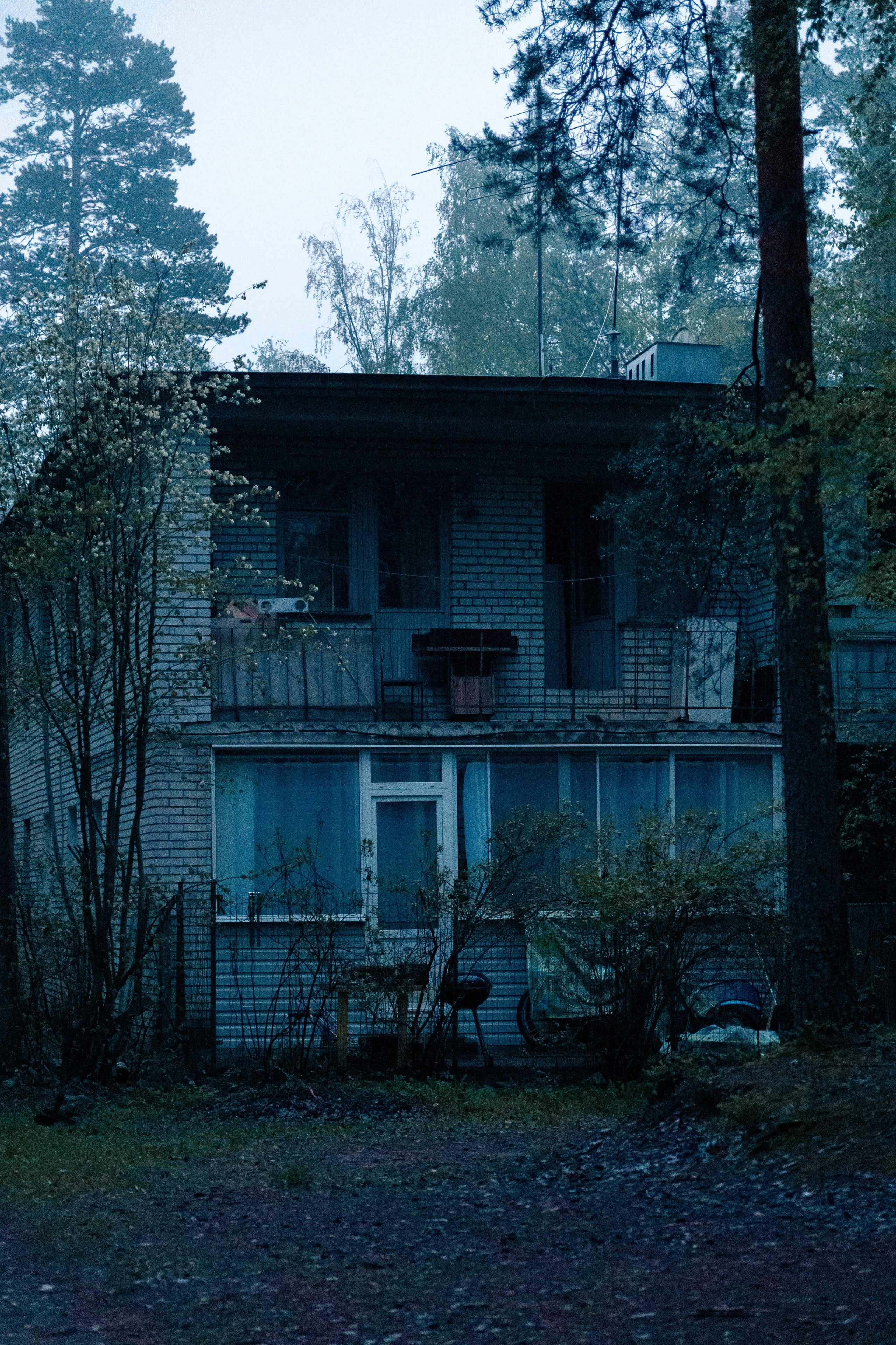 Природа. Фотограф в Санкт-Петербурге Ибрагимова Алина