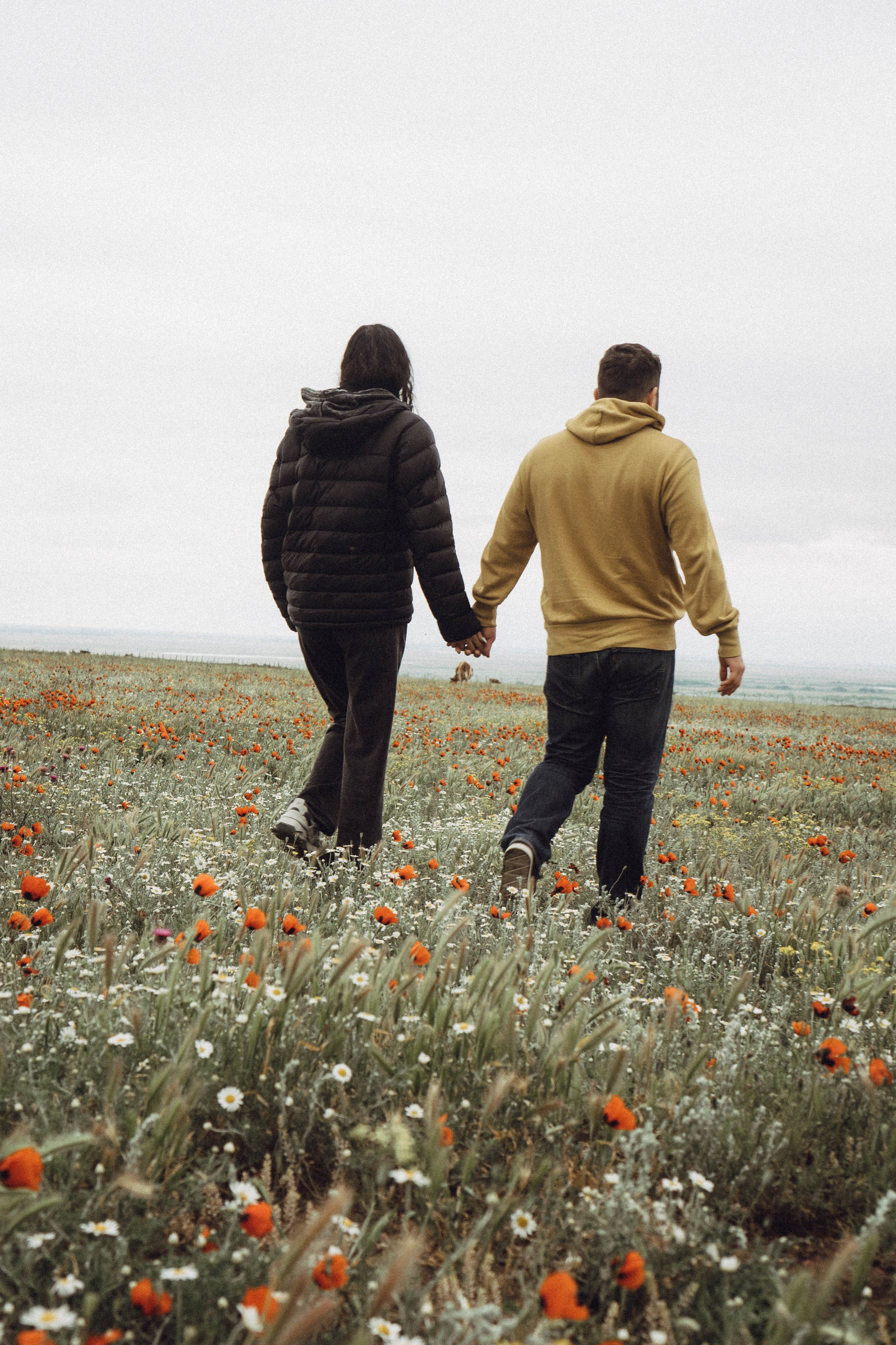 Любовь в маковом поле. Профессиональный фотограф, Санкт-Петербург — Виктория Богомолова