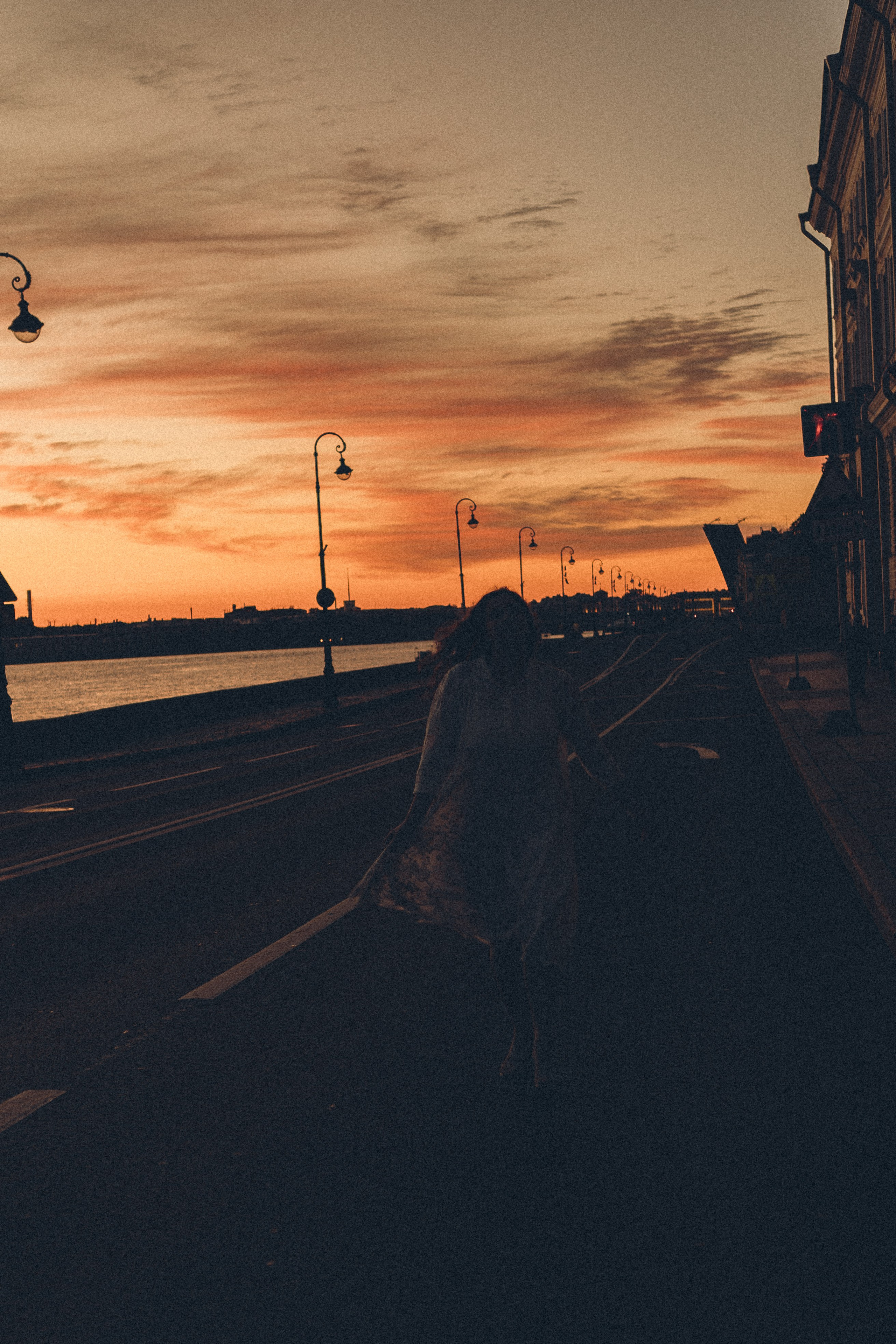 РАССВЕТ С РАЗВОДНЫМИ МОСТАМИ. Профессиональный фотограф, Санкт-Петербург — Виктория Богомолова