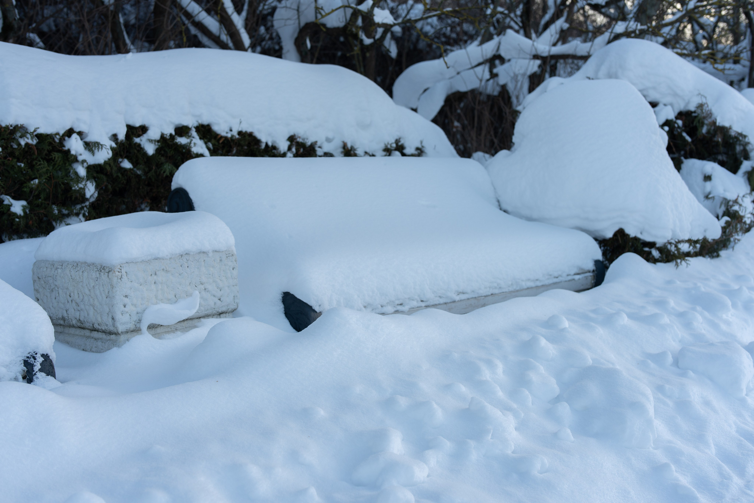 20260118 МГУ. Дмитрий Ремизов. Фотография, как хобби