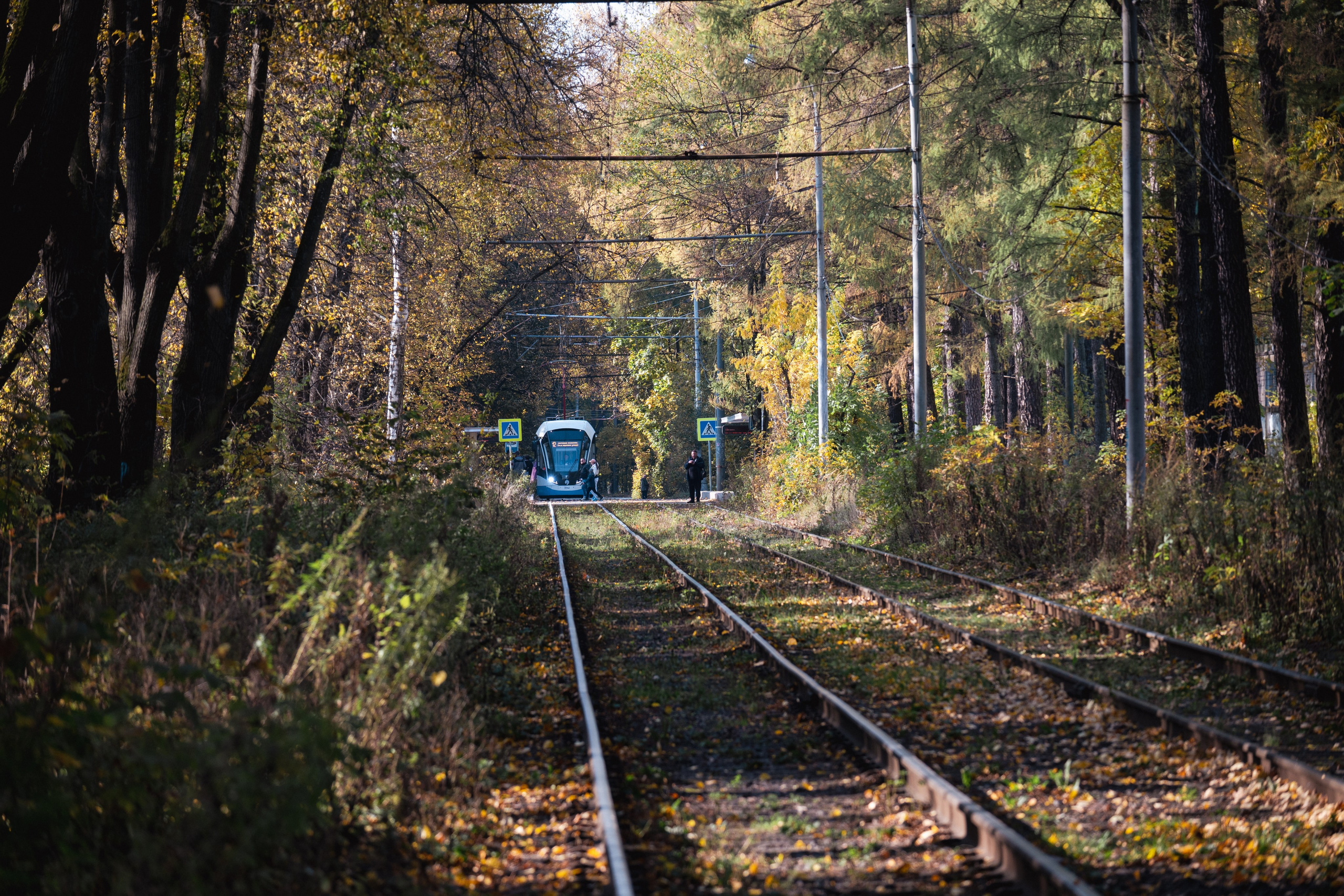 20241012 Измайлово. Дмитрий Ремизов. Фотография, как хобби