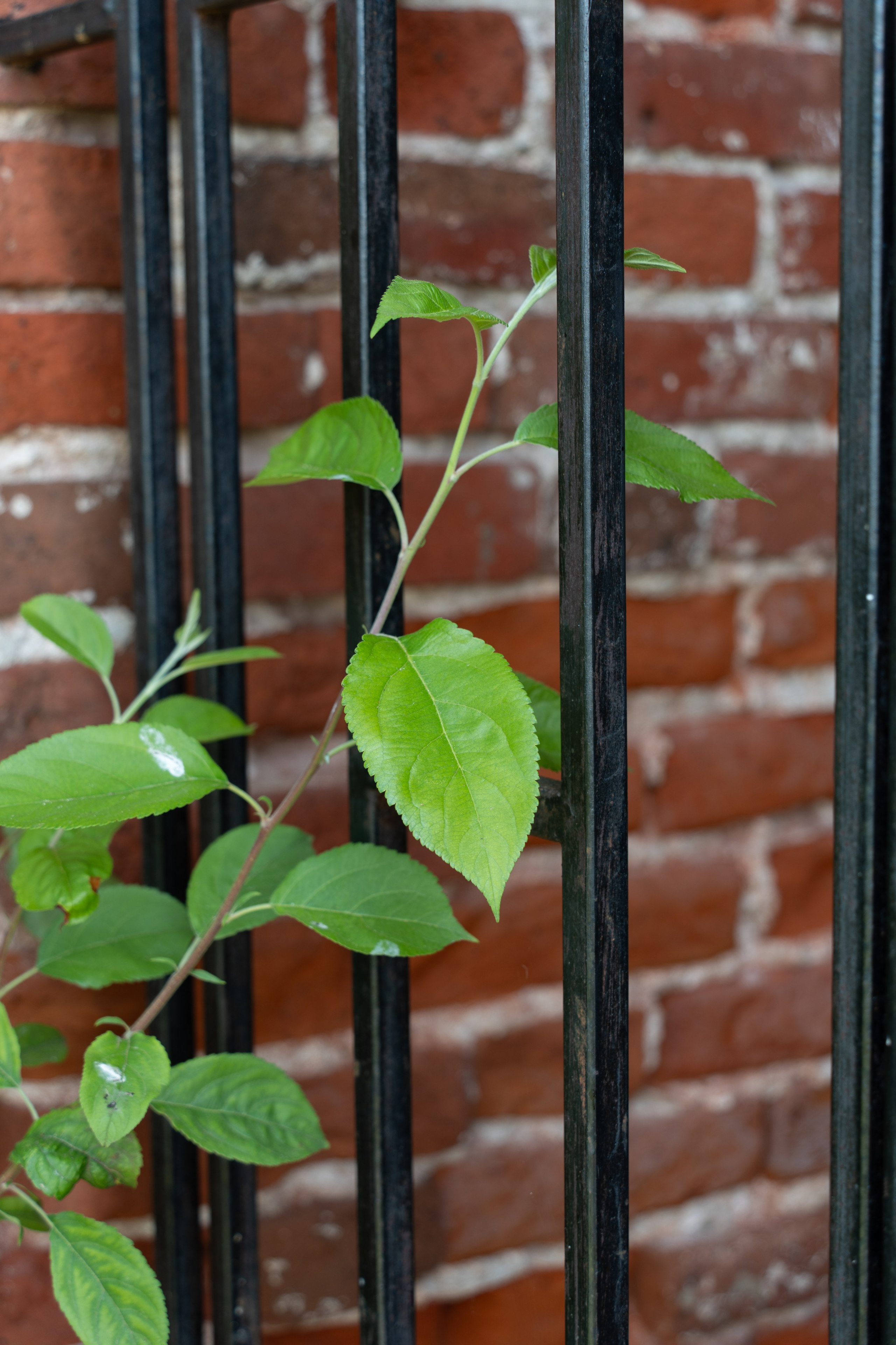 20250729-30 Ростов. Дмитрий Ремизов. Фотография, как хобби