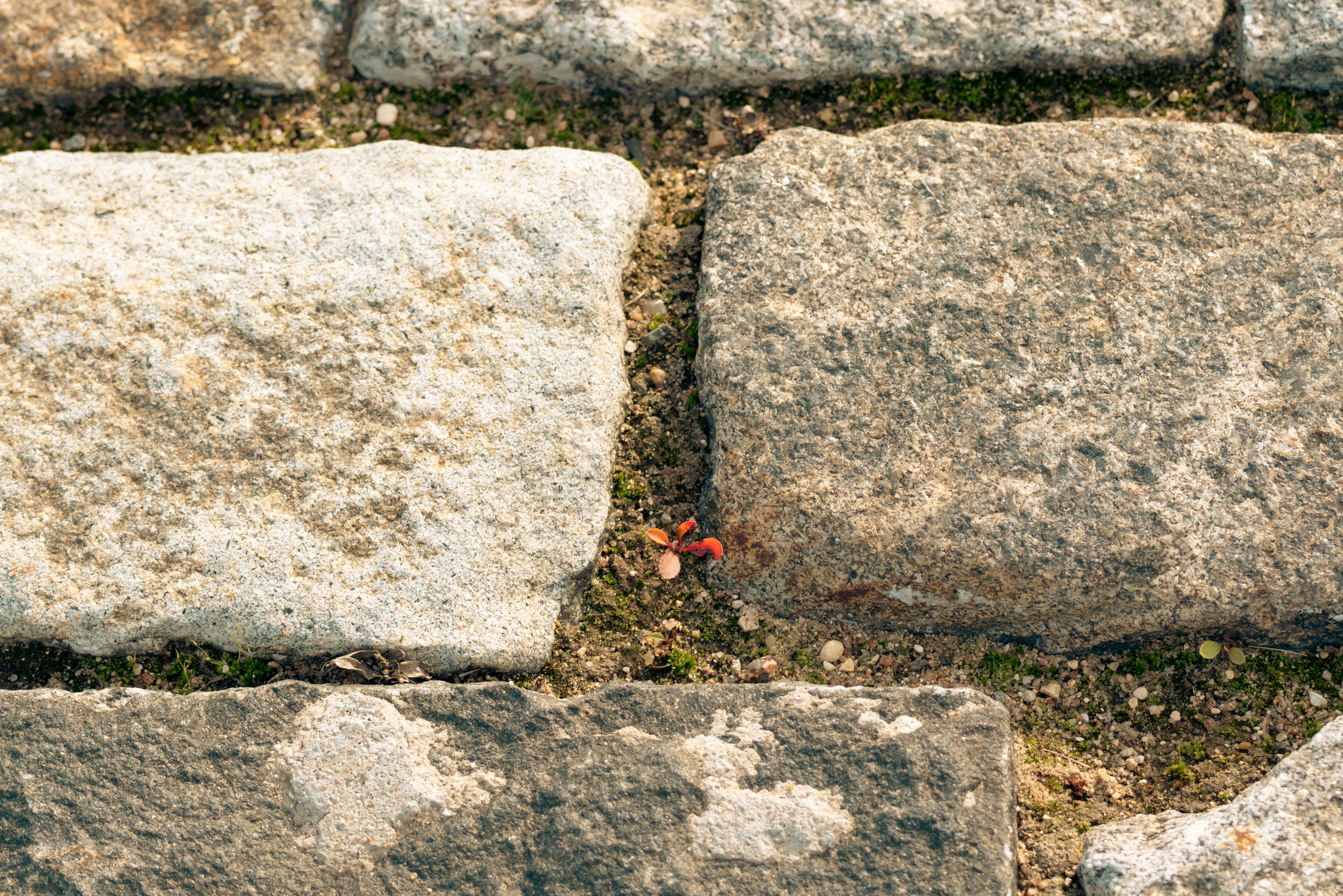20211003 Поклонка. Дмитрий Ремизов. Фотография, как хобби