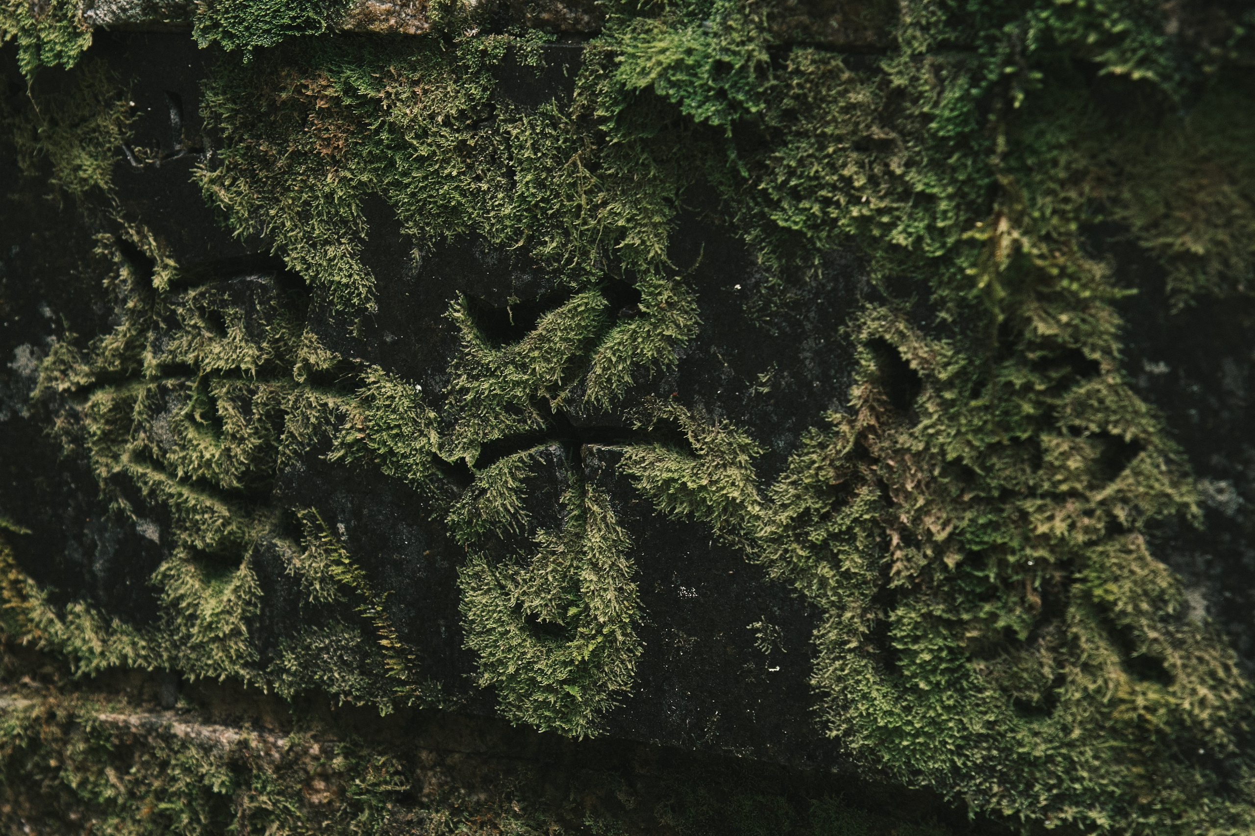 г. Коя, префектура Вакаяма, Япония