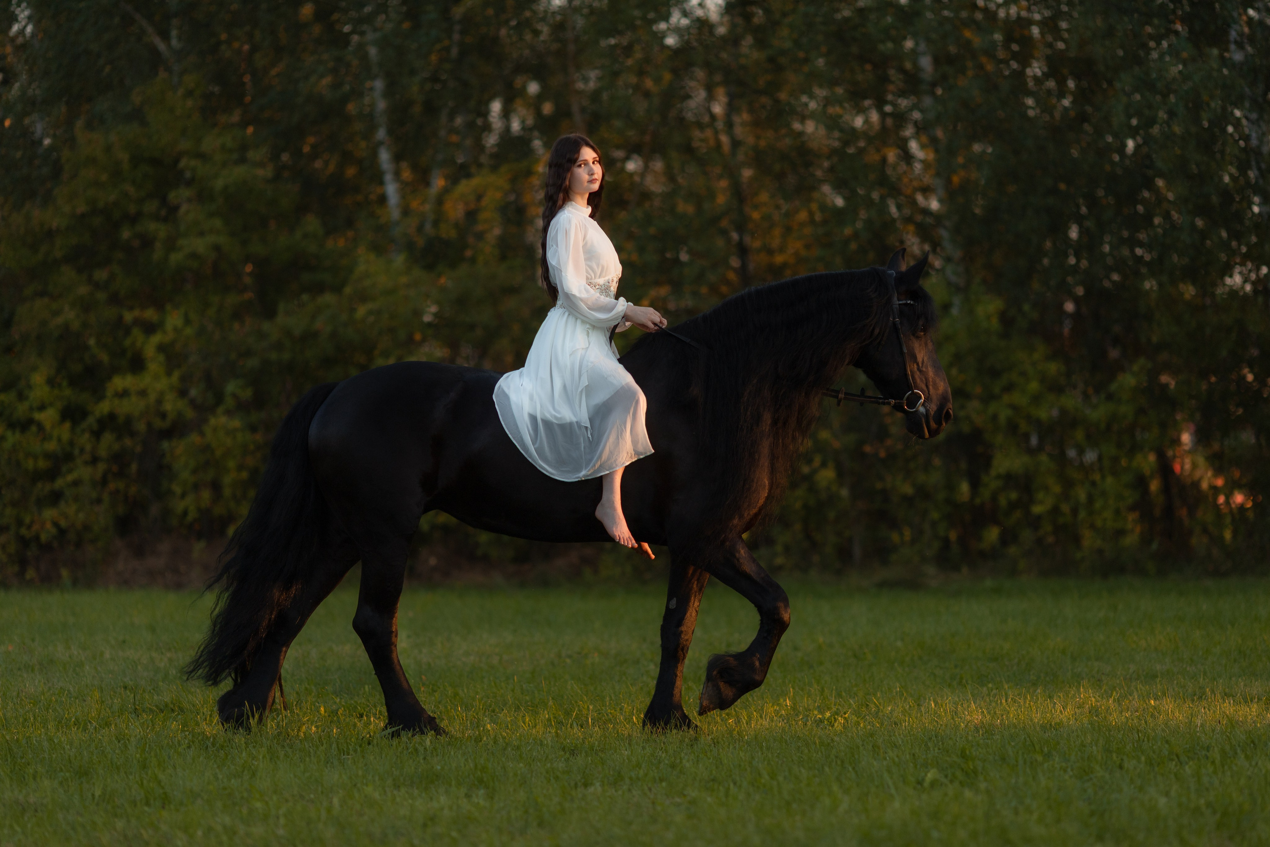 Фотосессия с лошадьми на закате. Фотосессии с лошадьми в Москве от Конный фотографа Кутейниковой Светланы