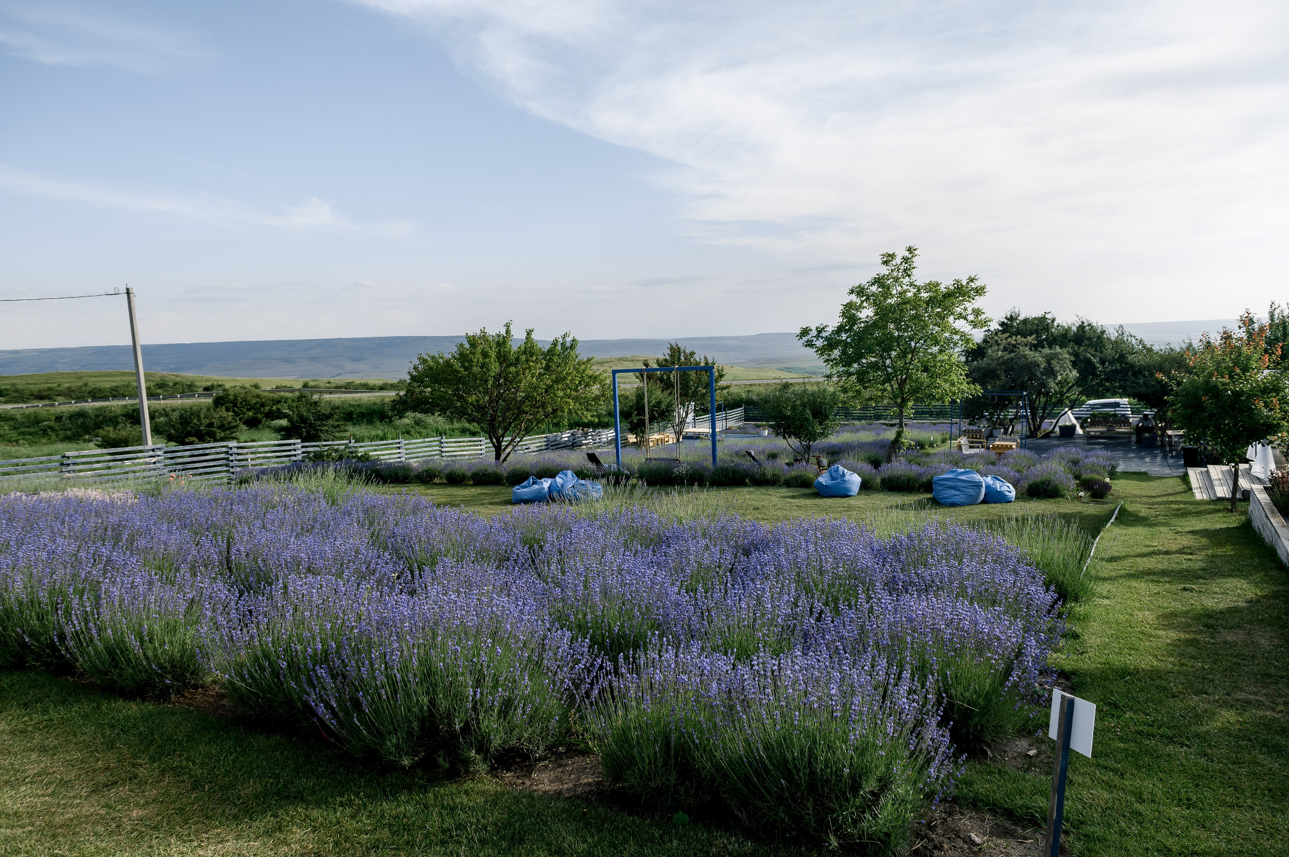 День Рождение на ферме Трава. Свадебный и семейный фотограф в Ставрополе Роман Иванов