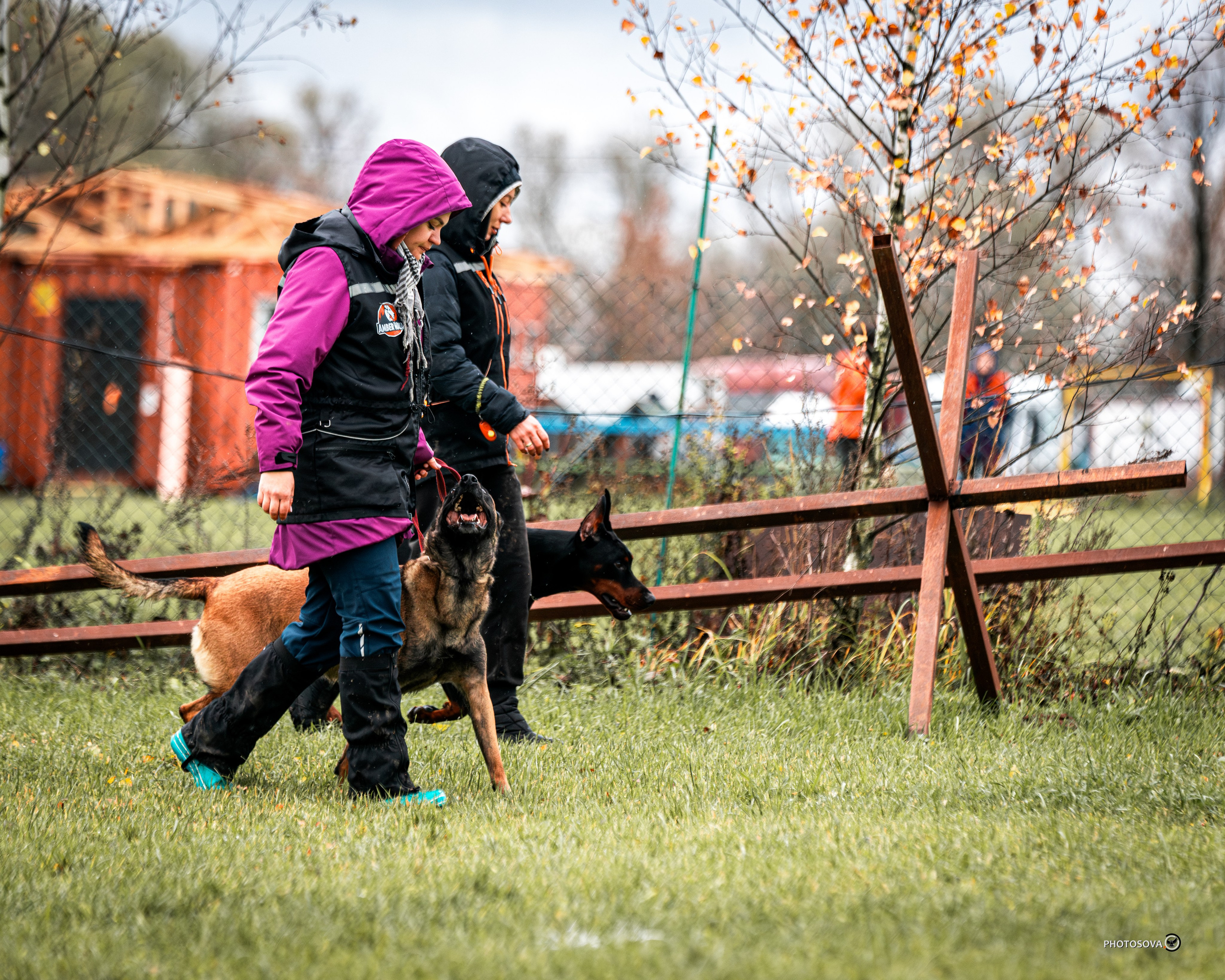 МЫ — КОМАНДА (соревнования) OKD, BH, IBGH, IGP. Фотограф-анималист, семейный фотограф в Москве и Подмосковье. Фотосъёмка кинологических дисциплин