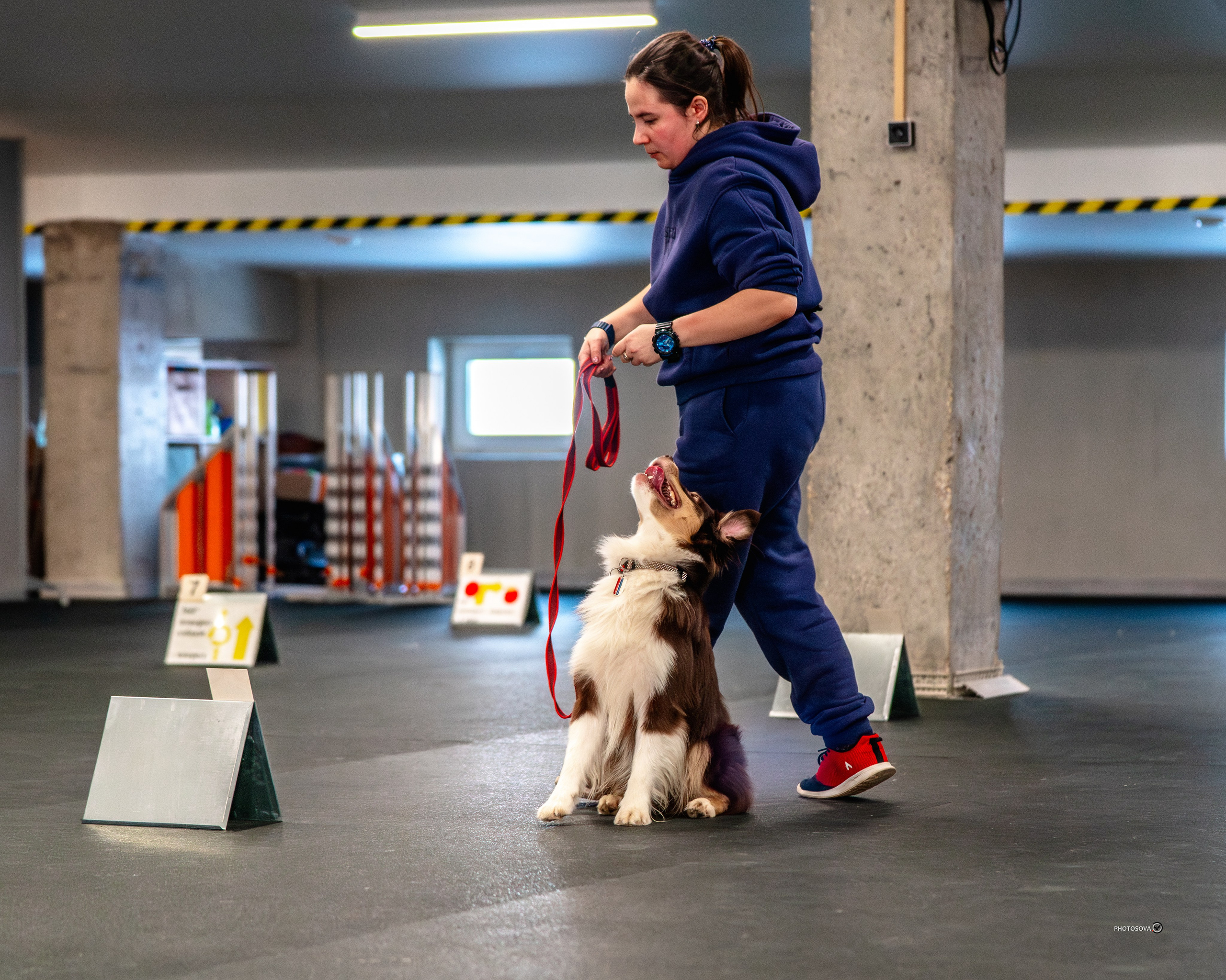 ТЫ И Я (соревнования по ралли-обидиенс). Фотограф-анималист, семейный фотограф в Москве и Подмосковье. Фотосъёмка кинологических дисциплин