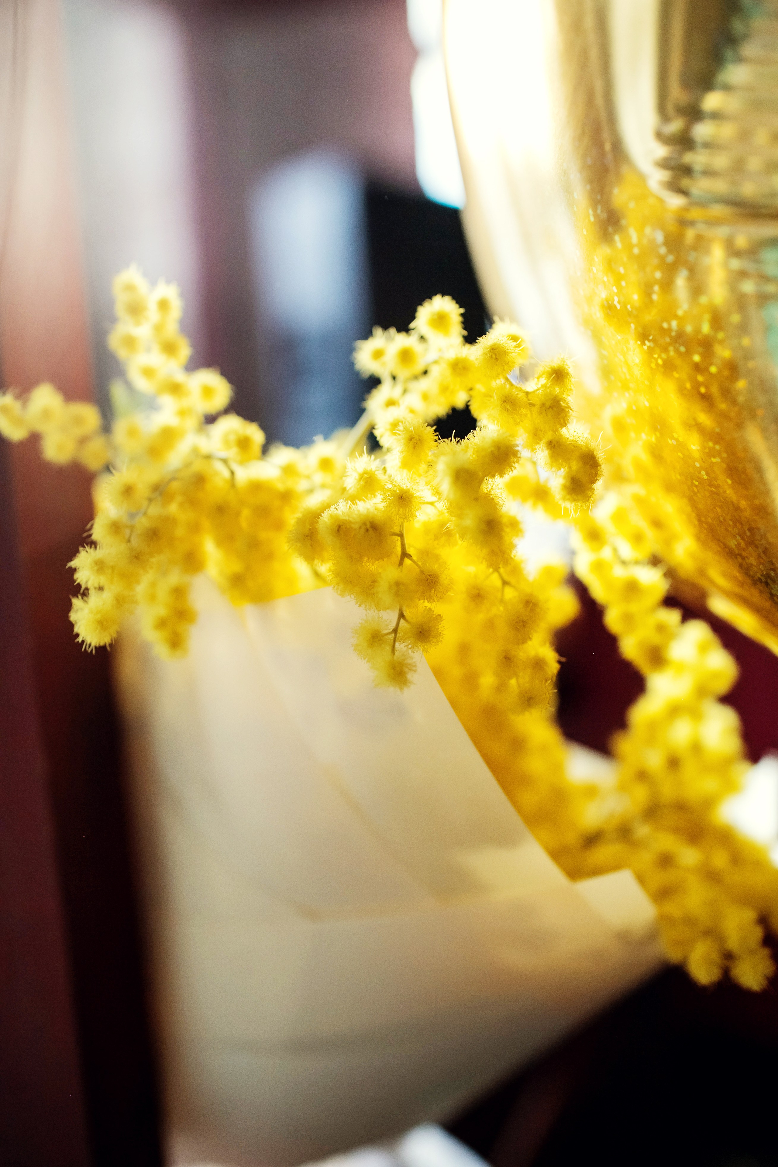 Насте 5 лет. Детский и семейный фотограф в Москве Анна Ипатьева