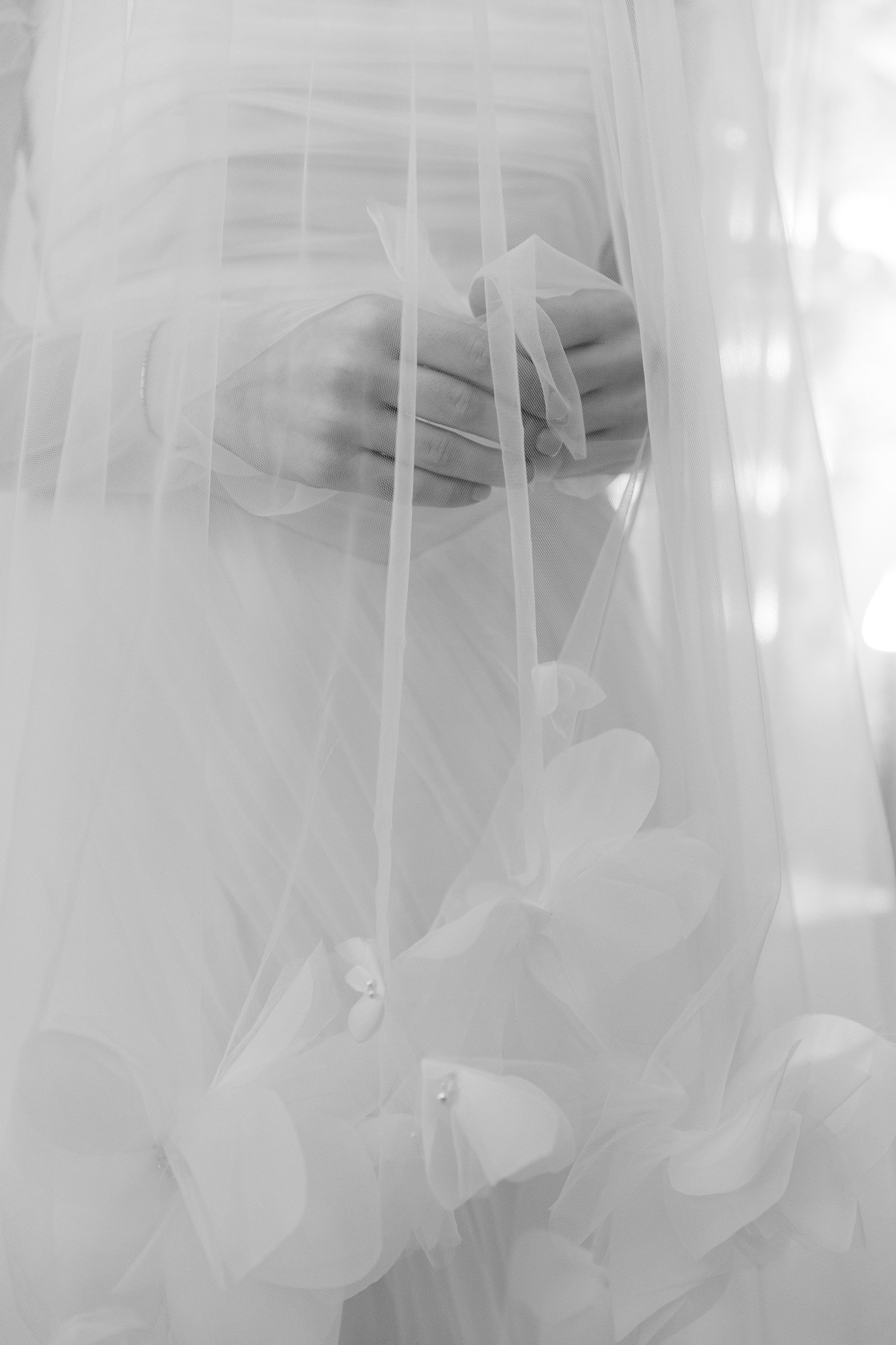 А&А. Свадебный фотограф