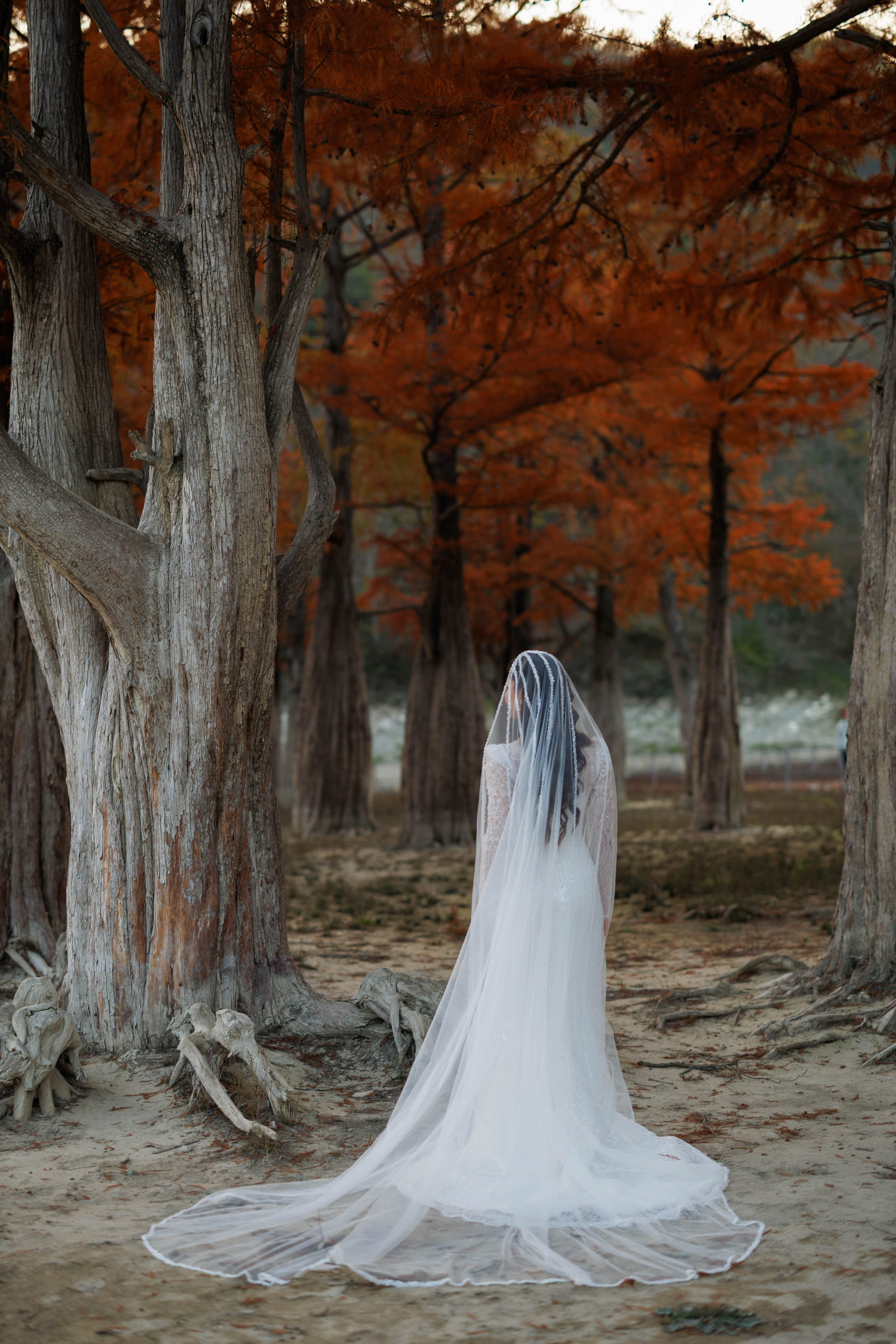 Обжигающая нежность. Аксанна Аракелян