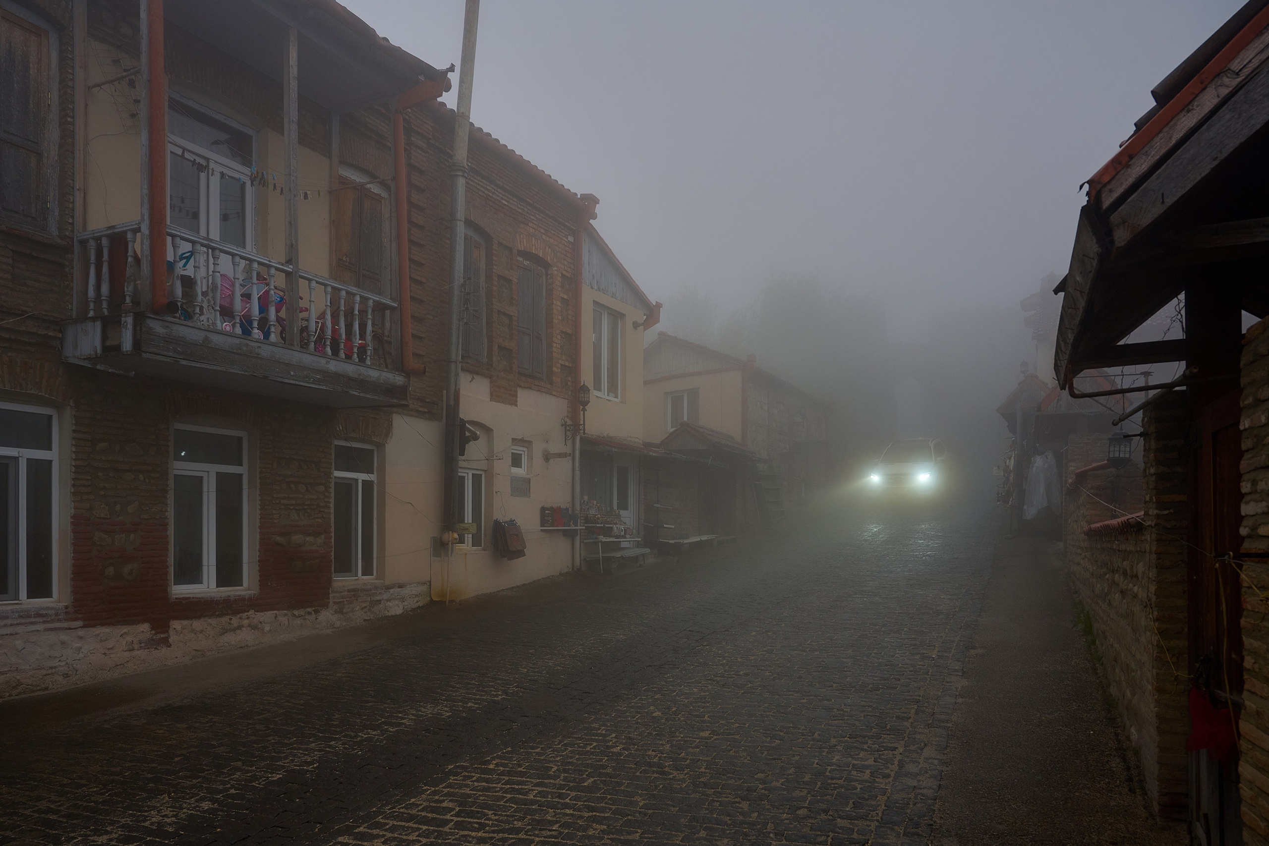 Жизнь, люди, стрит, вокруг, животные, на улице. Яркие фото на Чёрном море