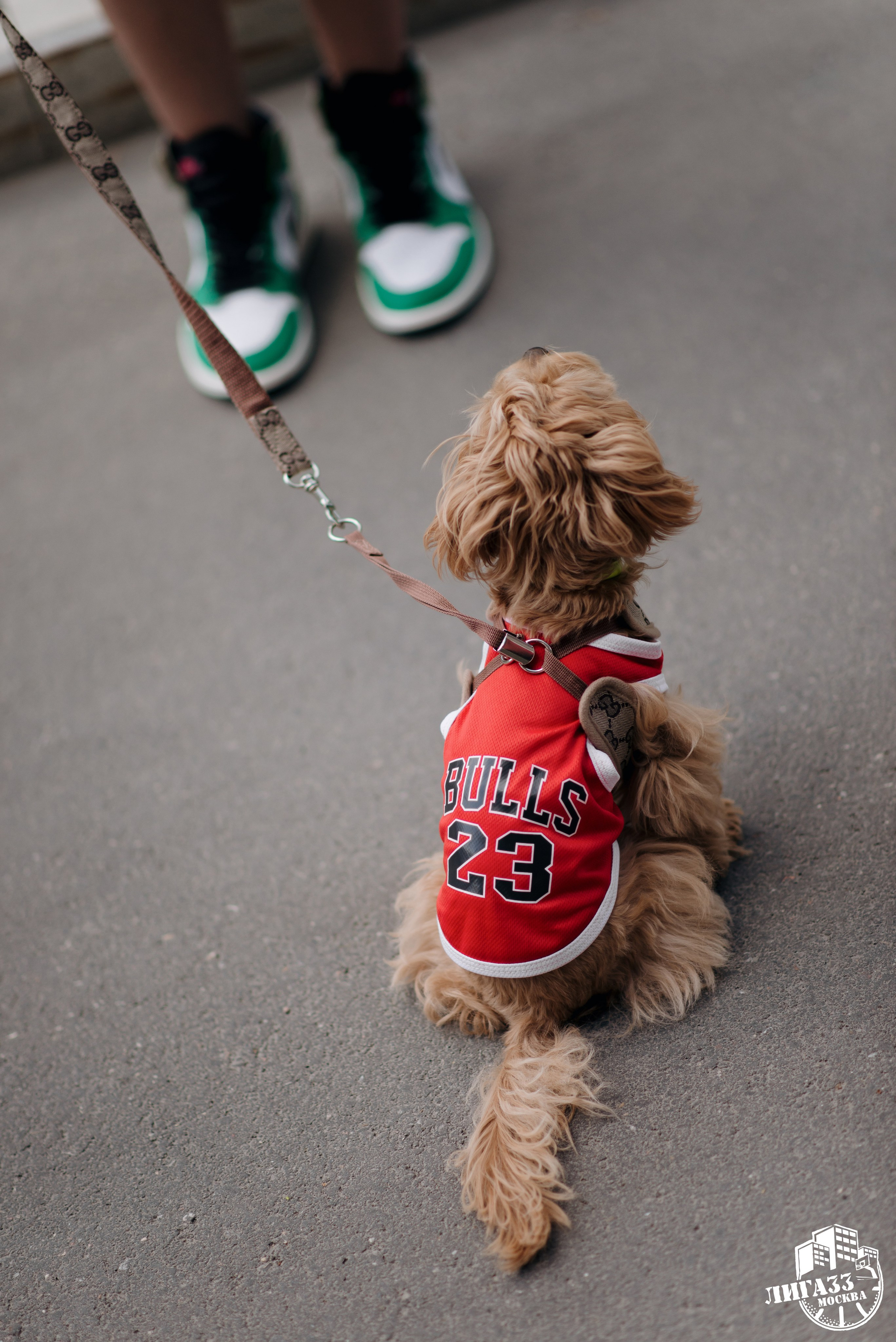Спортивные события. Портретный фотограф Санкт-Петербург